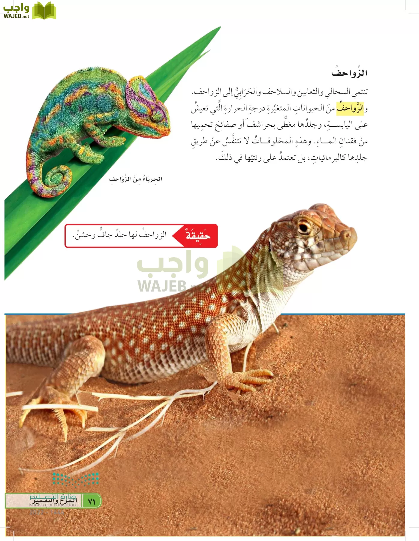 العلوم page-70