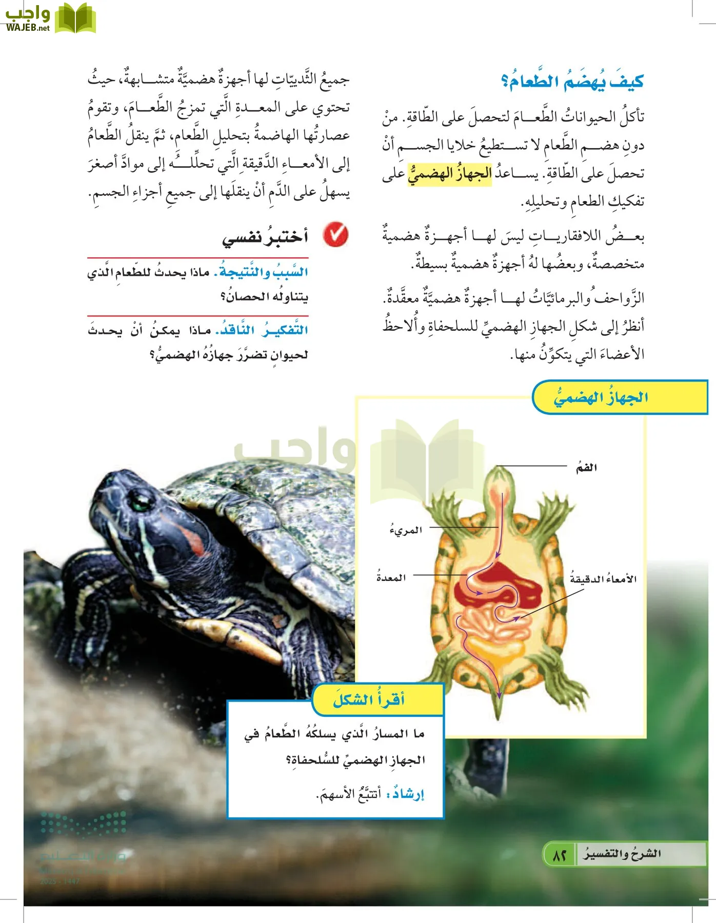 العلوم page-81