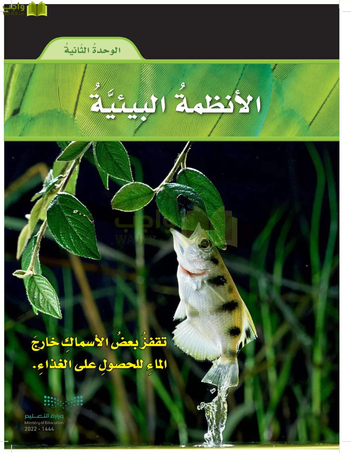 العلوم page-94