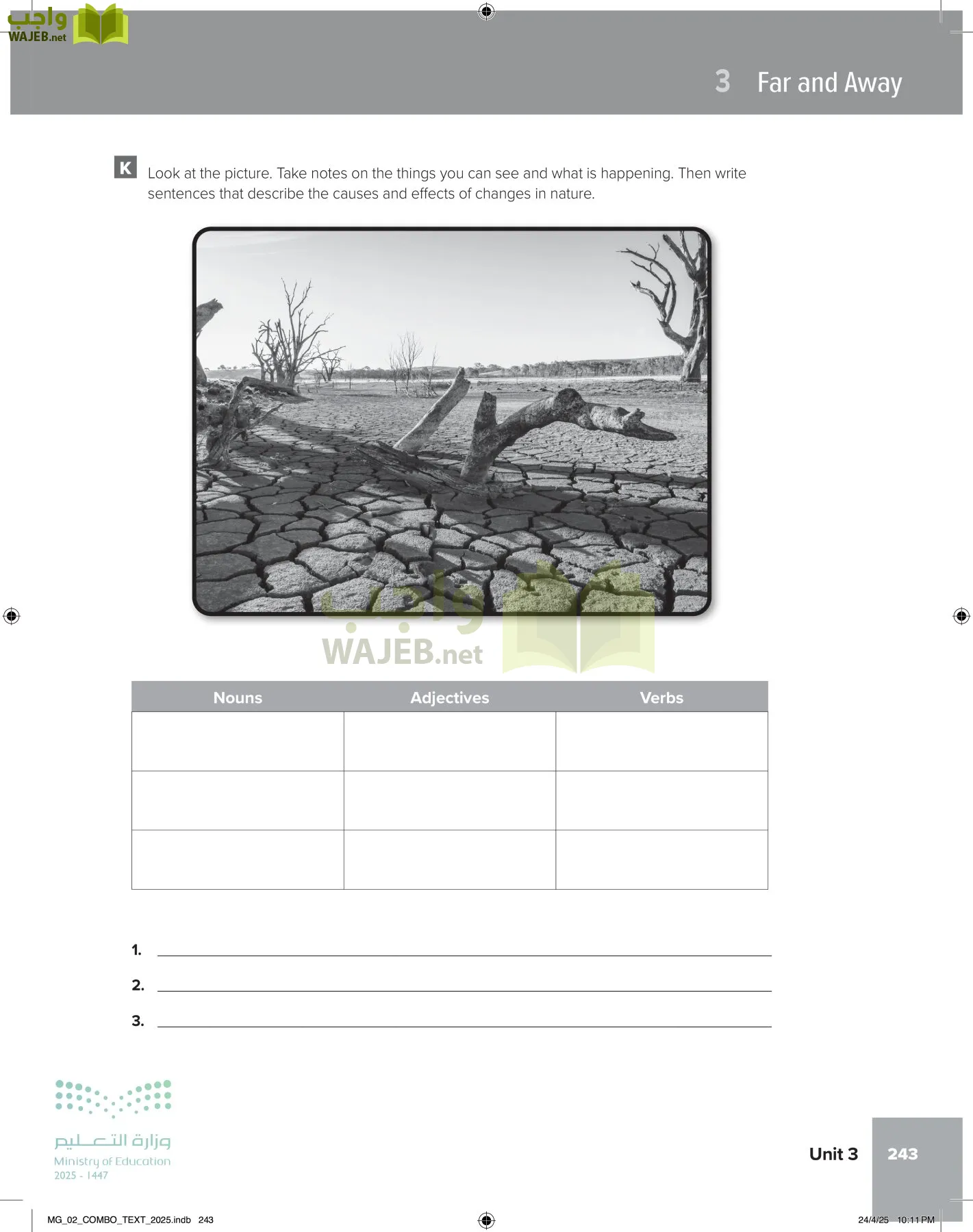 mega goal 2 page-248