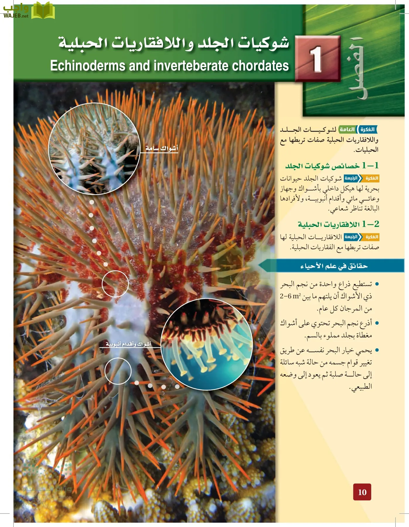 الأحياء 1-2 الفصل الأول page-9