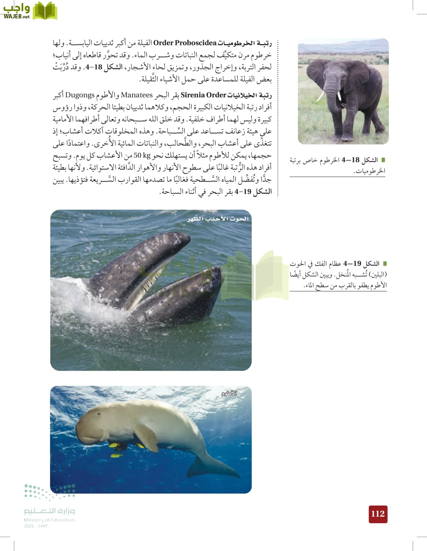 الأحياء 1-2 الفصل الأول page-111