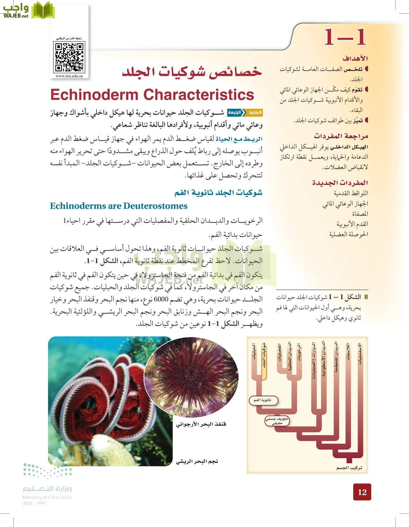 الأحياء 1-2 الفصل الأول page-11