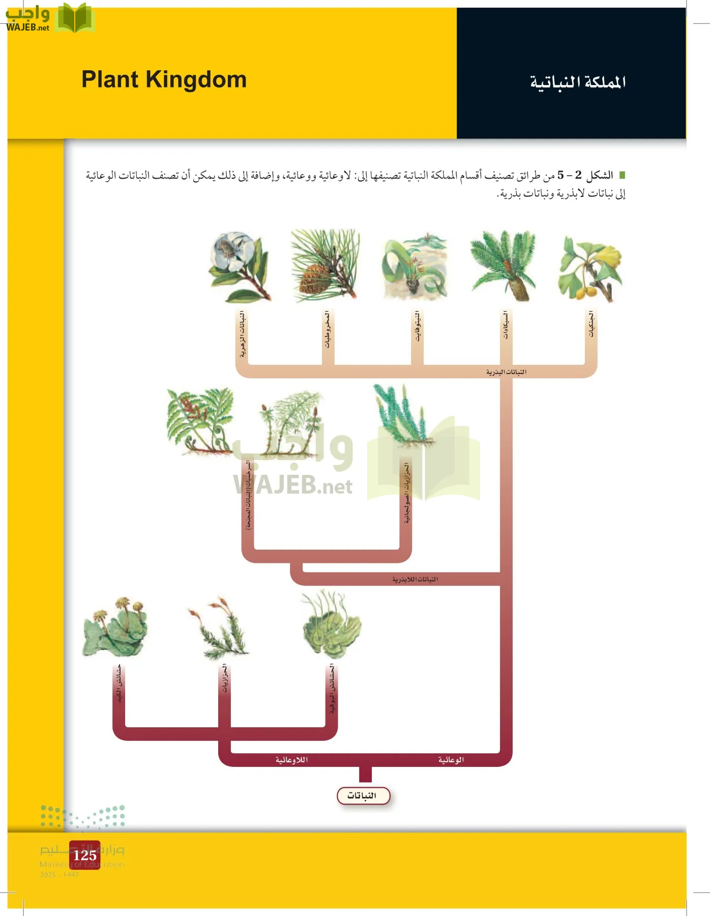 الأحياء 1-2 الفصل الأول page-124