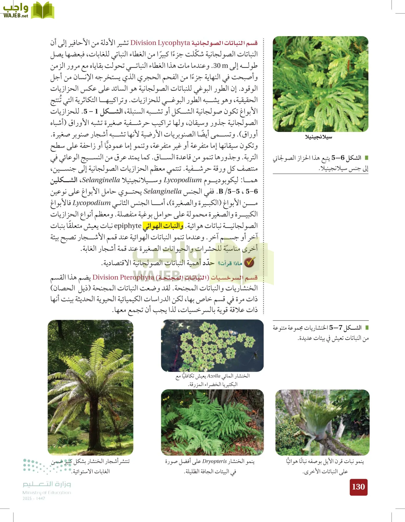 الأحياء 1-2 الفصل الأول page-129