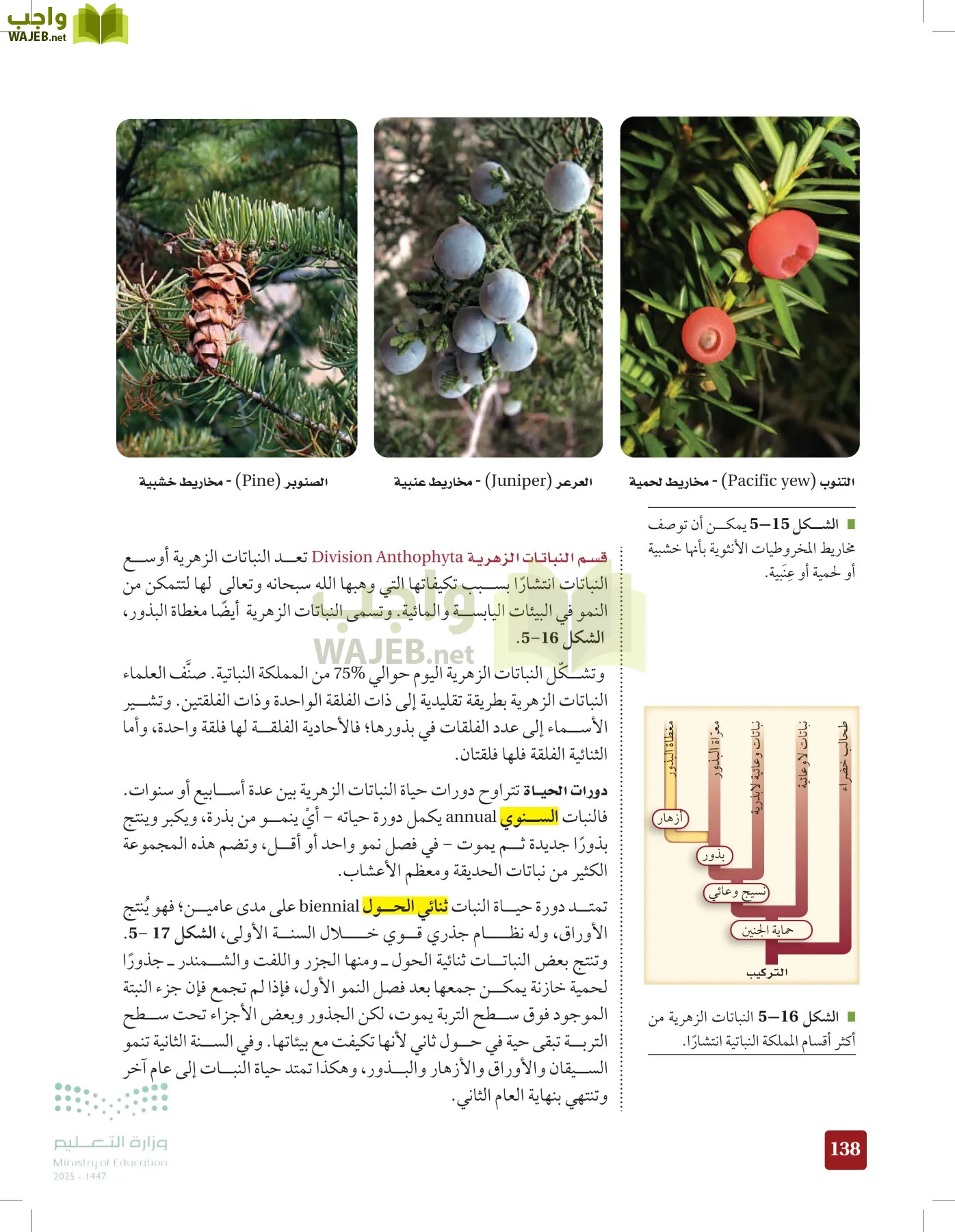 الأحياء 1-2 الفصل الأول page-137