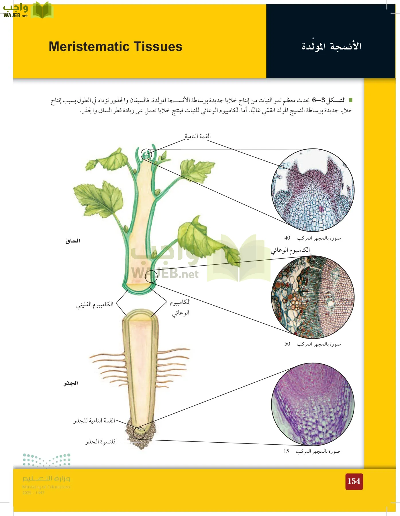 الأحياء 1-2 الفصل الأول page-153