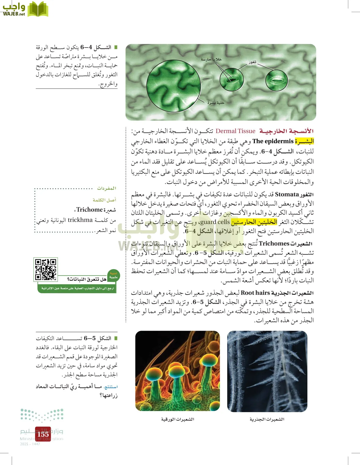 الأحياء 1-2 الفصل الأول page-154