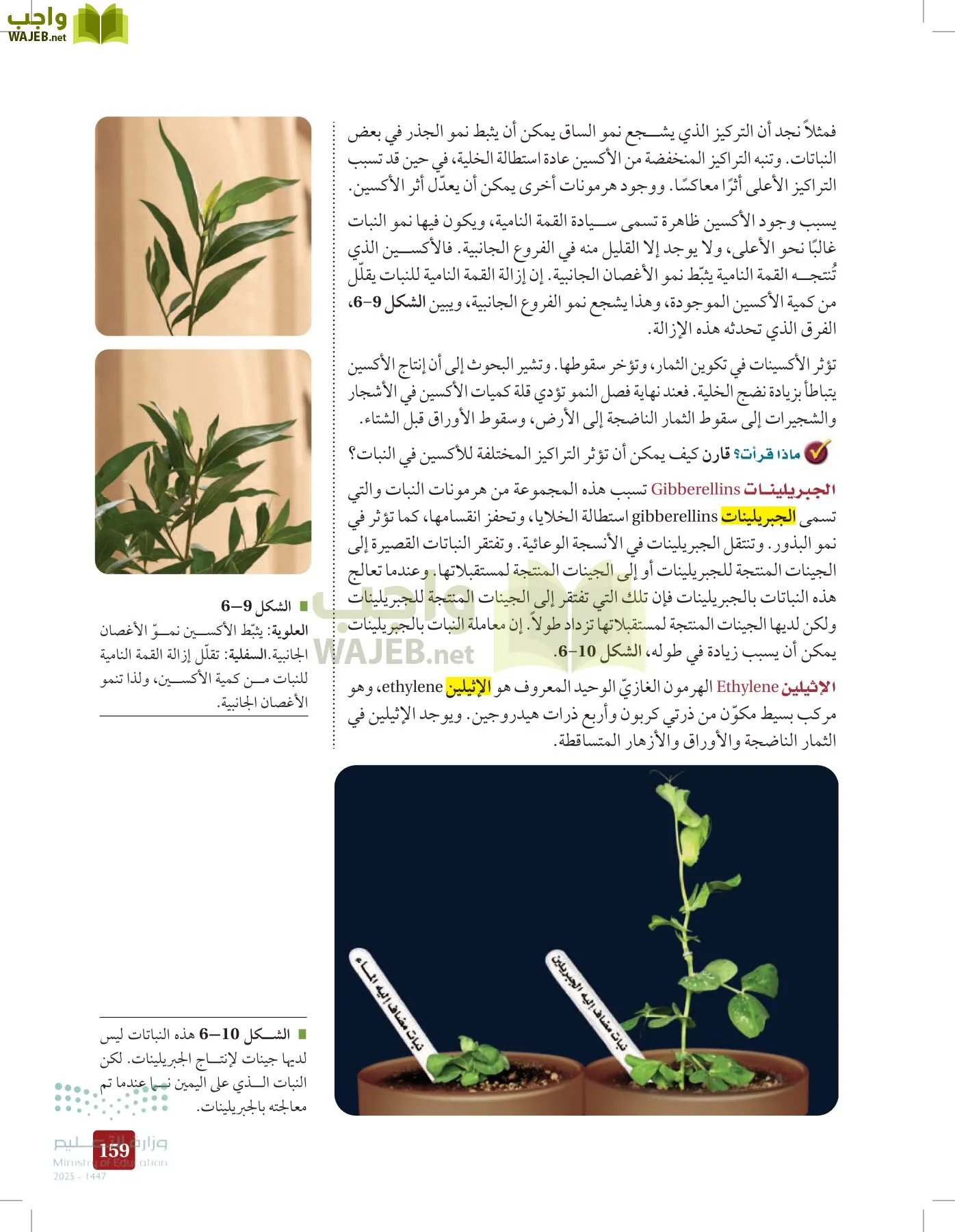 الأحياء 1-2 الفصل الأول page-158