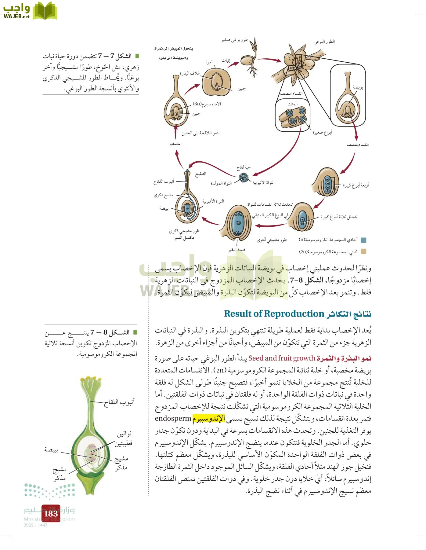 الأحياء 1-2 الفصل الأول page-182