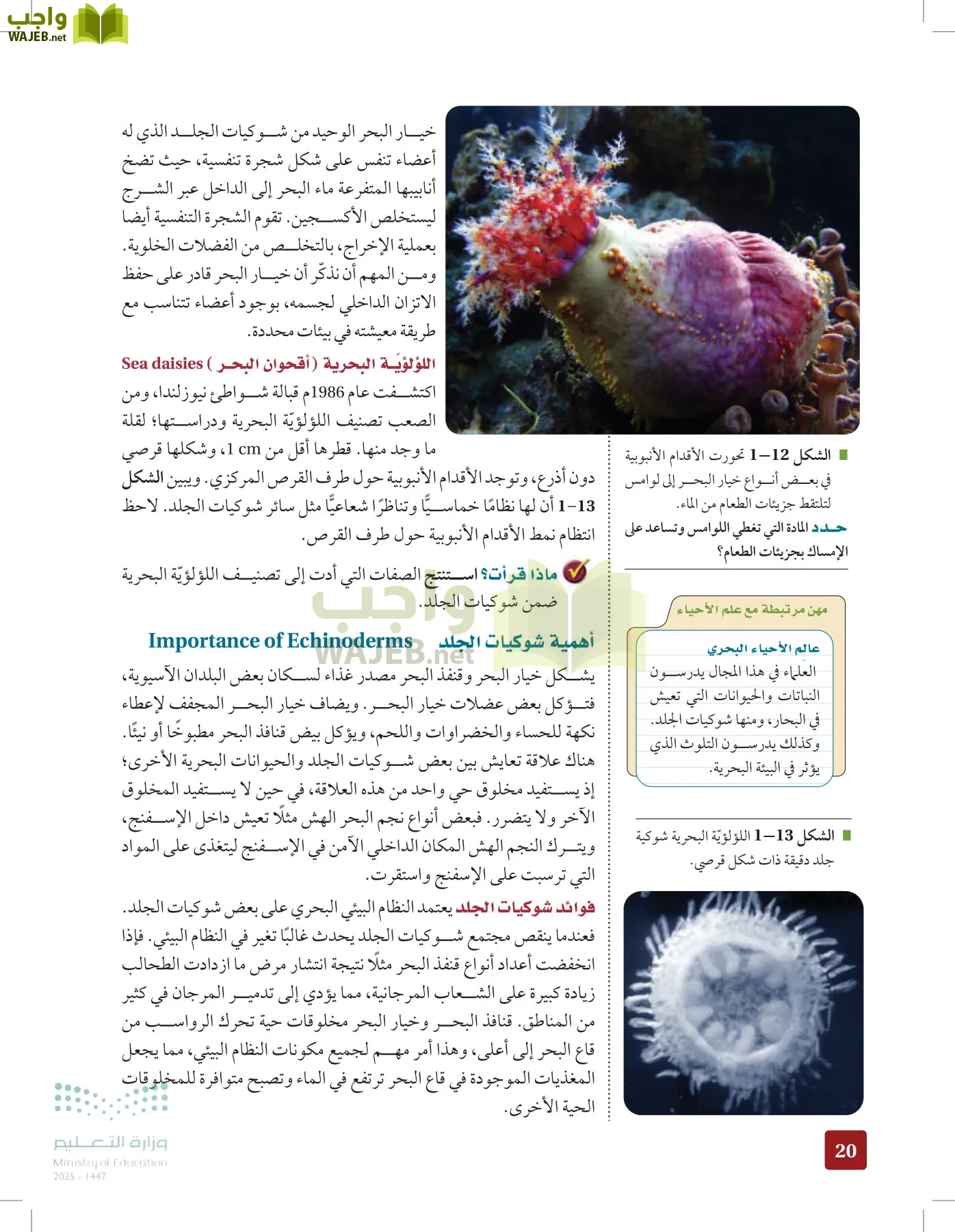 الأحياء 1-2 الفصل الأول page-19