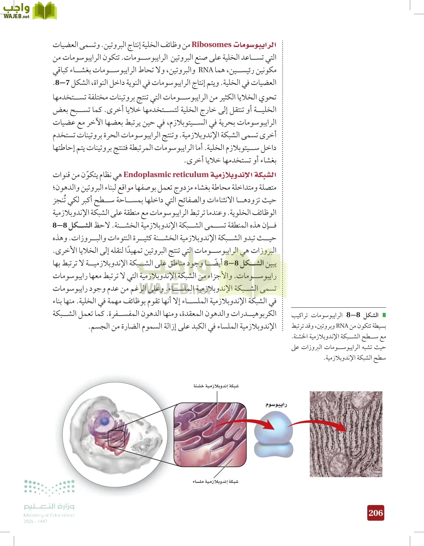الأحياء 1-2 الفصل الأول page-205