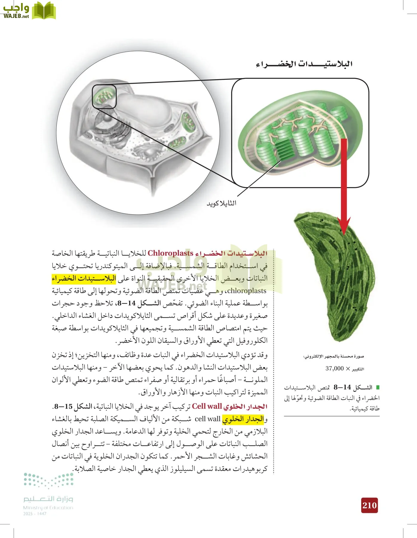 الأحياء 1-2 الفصل الأول page-209