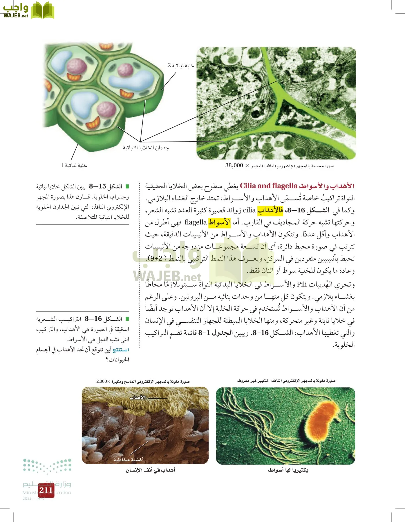 الأحياء 1-2 الفصل الأول page-210