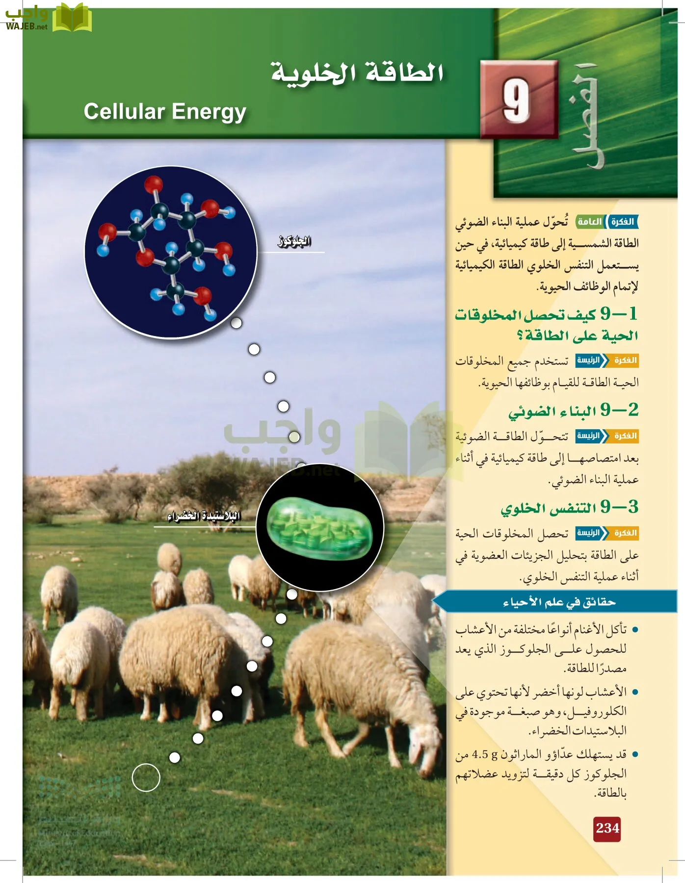 الأحياء 1-2 الفصل الأول page-233