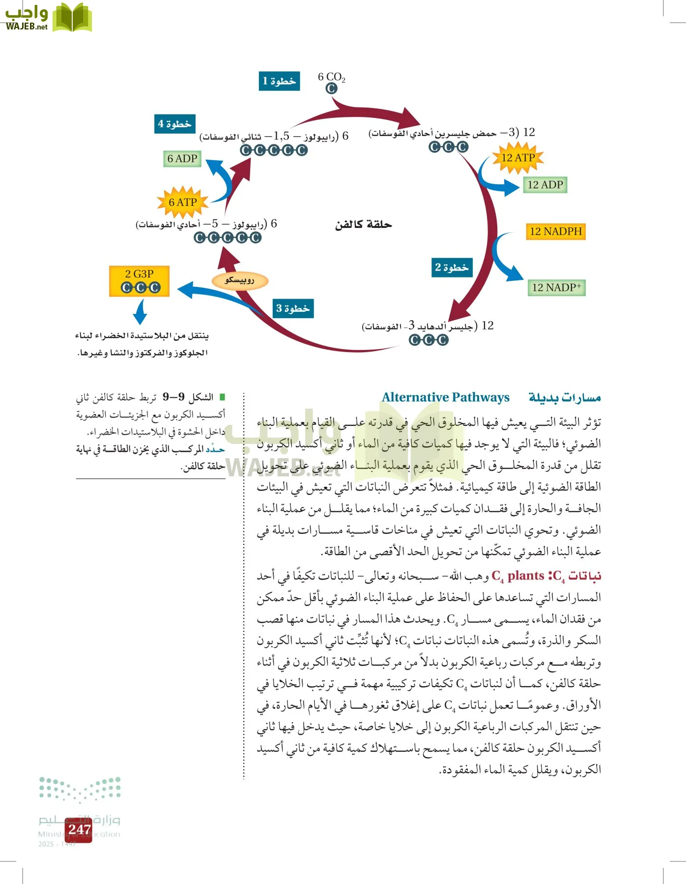 الأحياء 1-2 الفصل الأول page-246