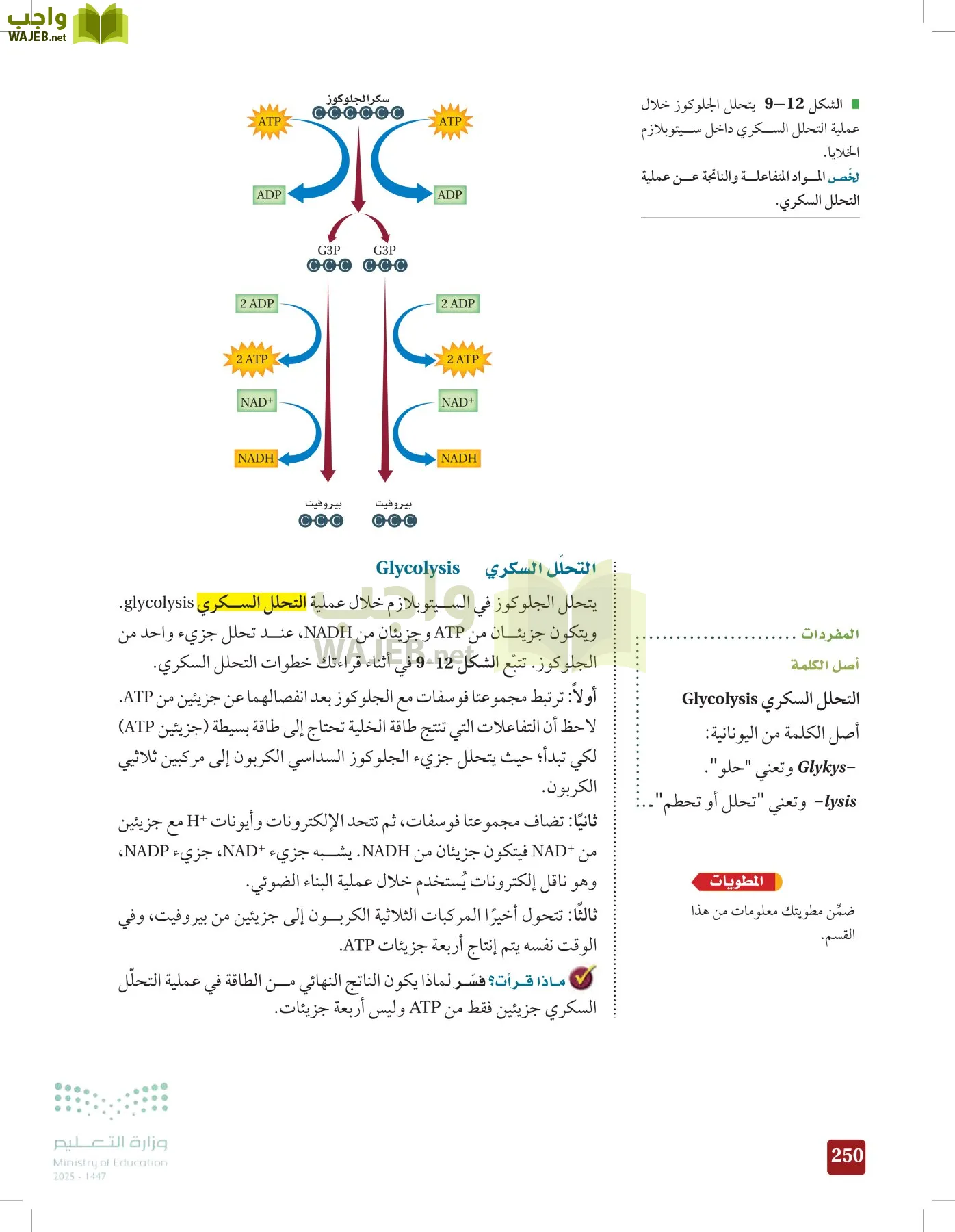 الأحياء 1-2 الفصل الأول page-249