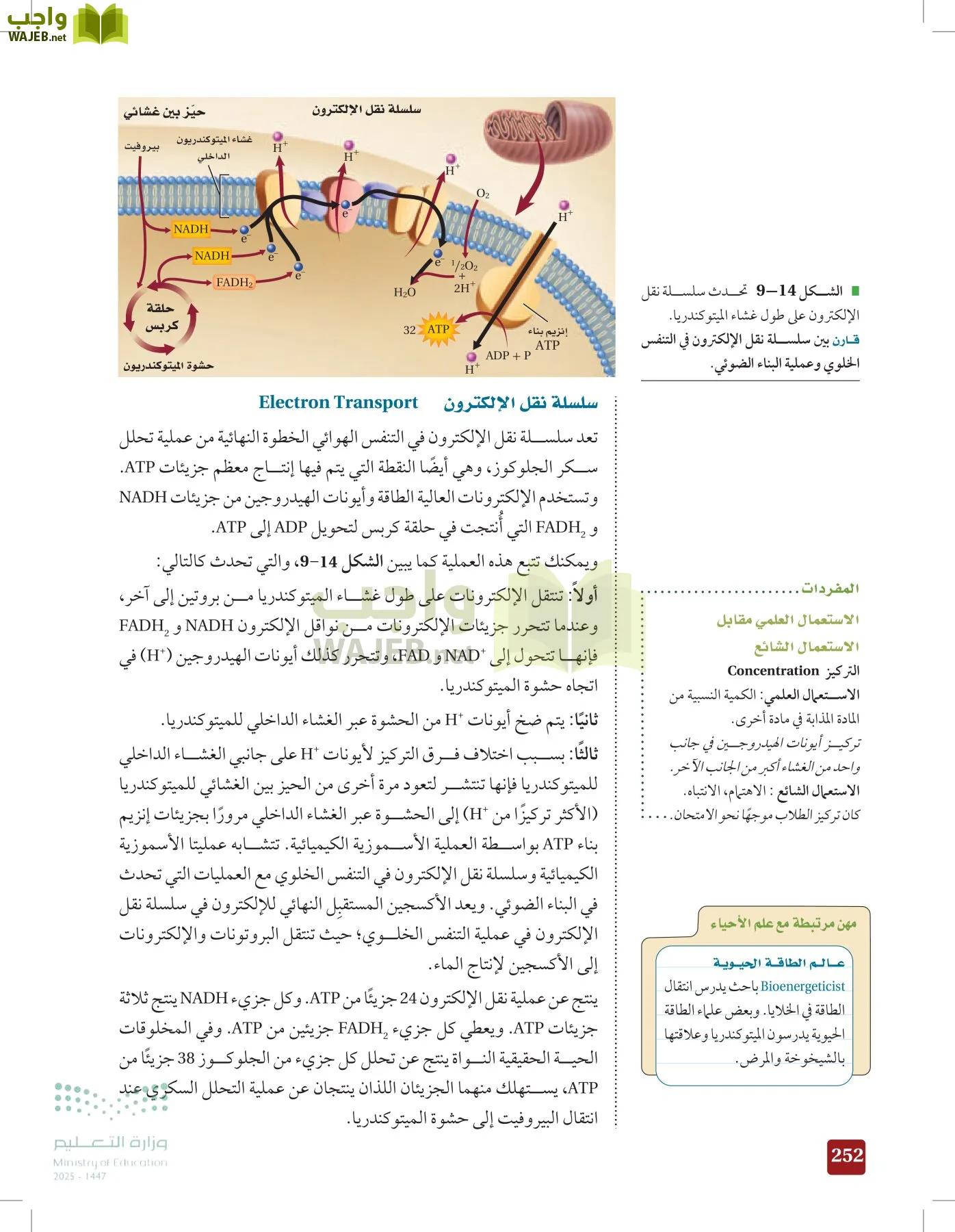 الأحياء 1-2 الفصل الأول page-251