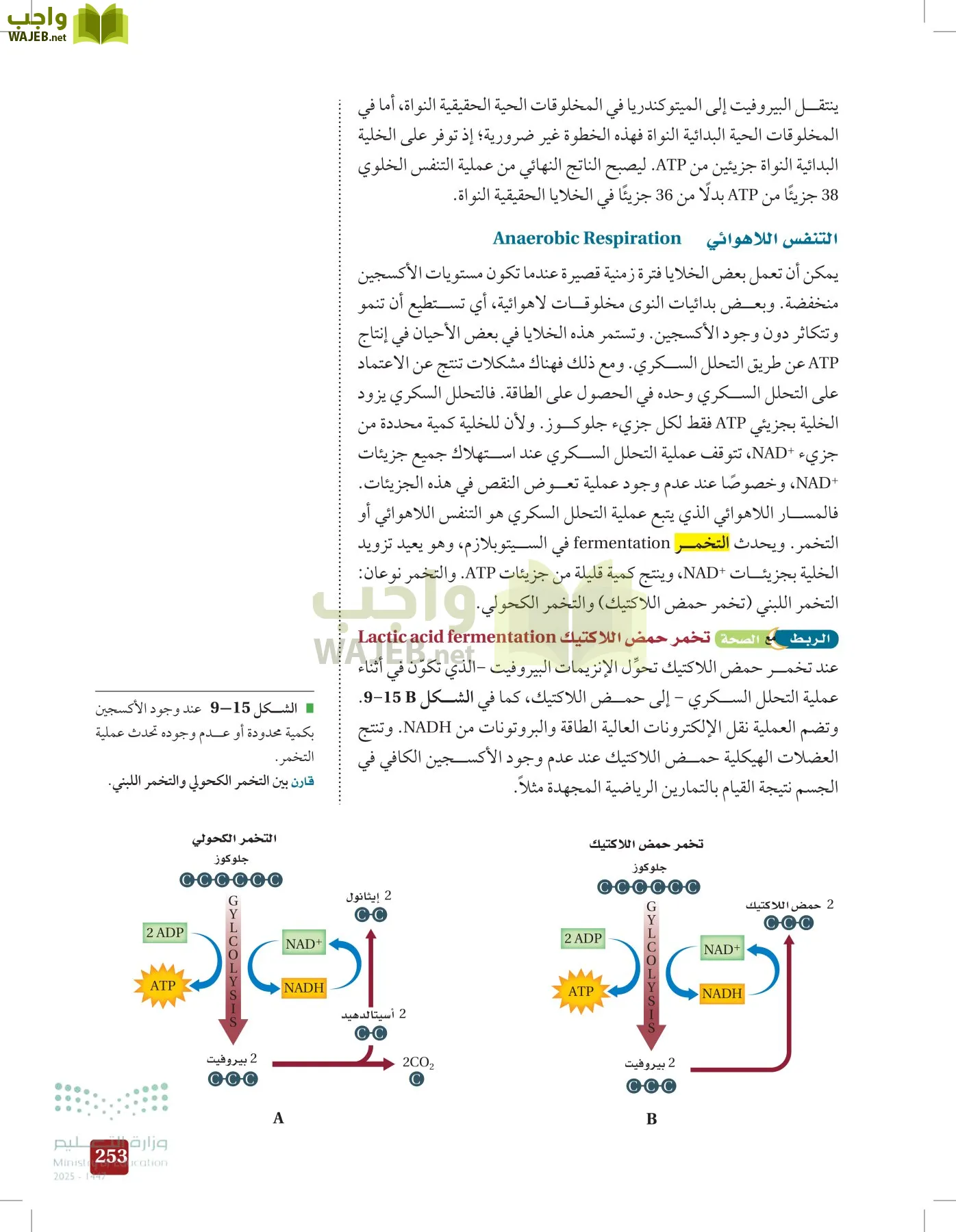 الأحياء 1-2 الفصل الأول page-252