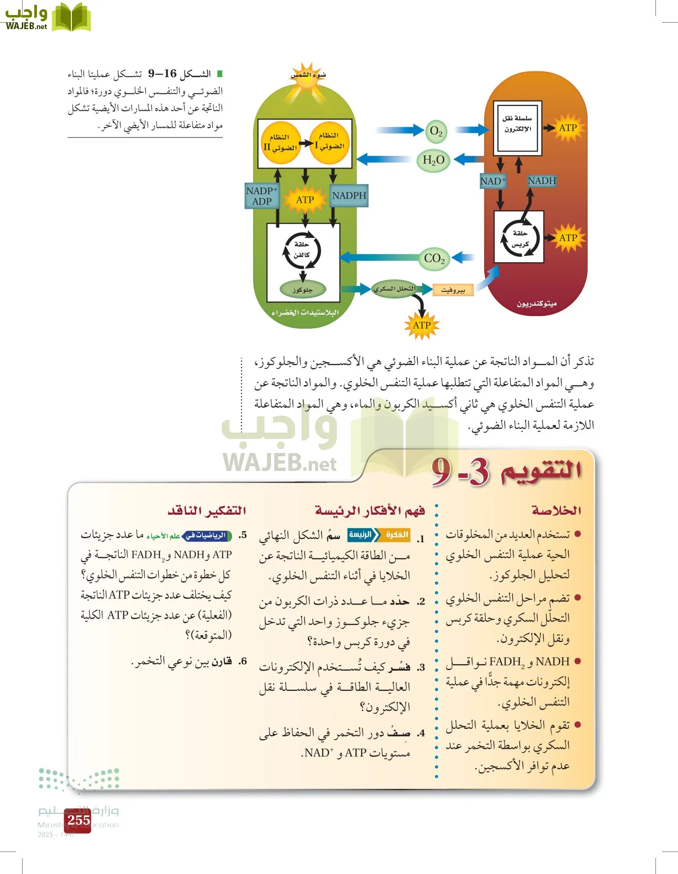 الأحياء 1-2 الفصل الأول page-254