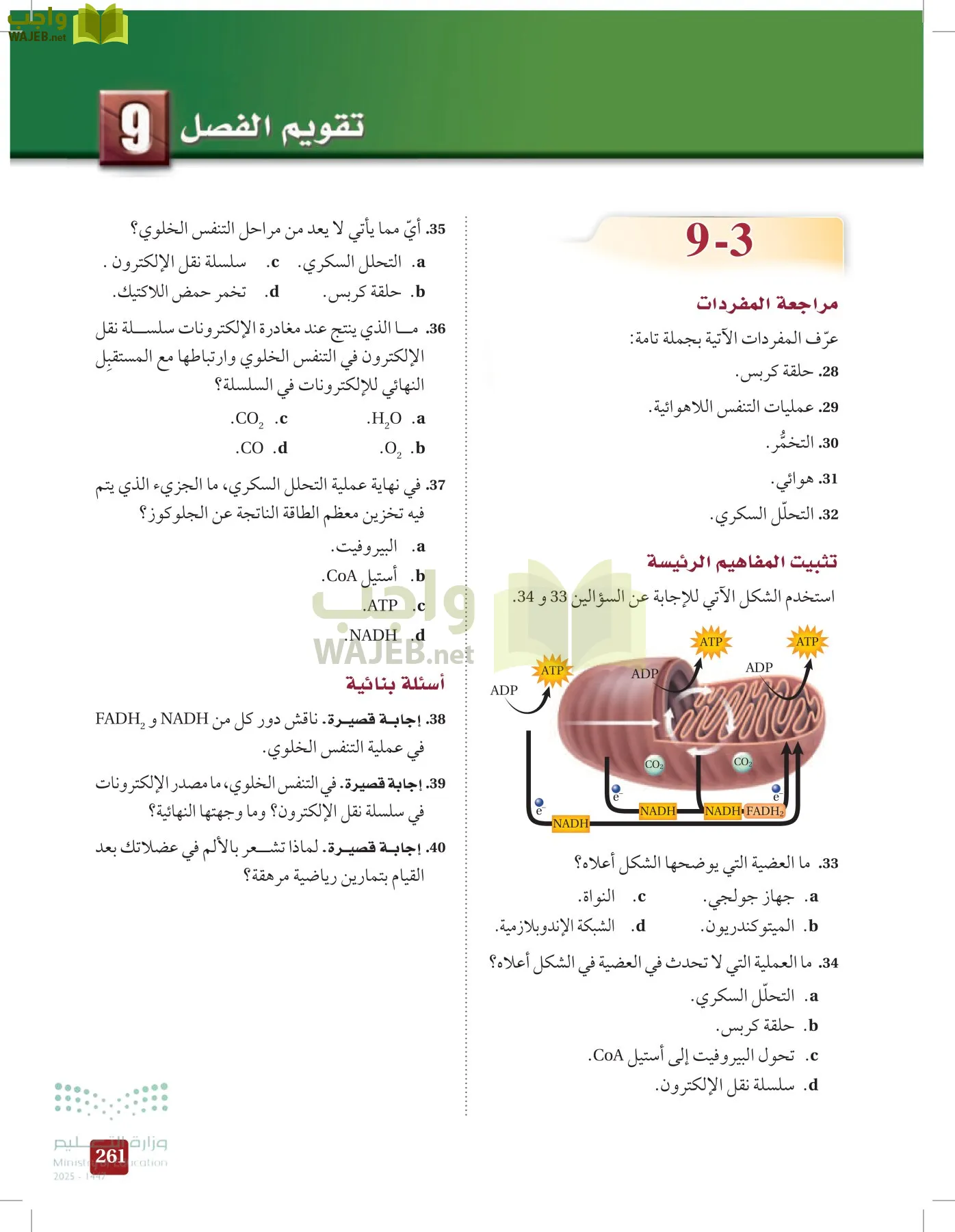 الأحياء 1-2 الفصل الأول page-260