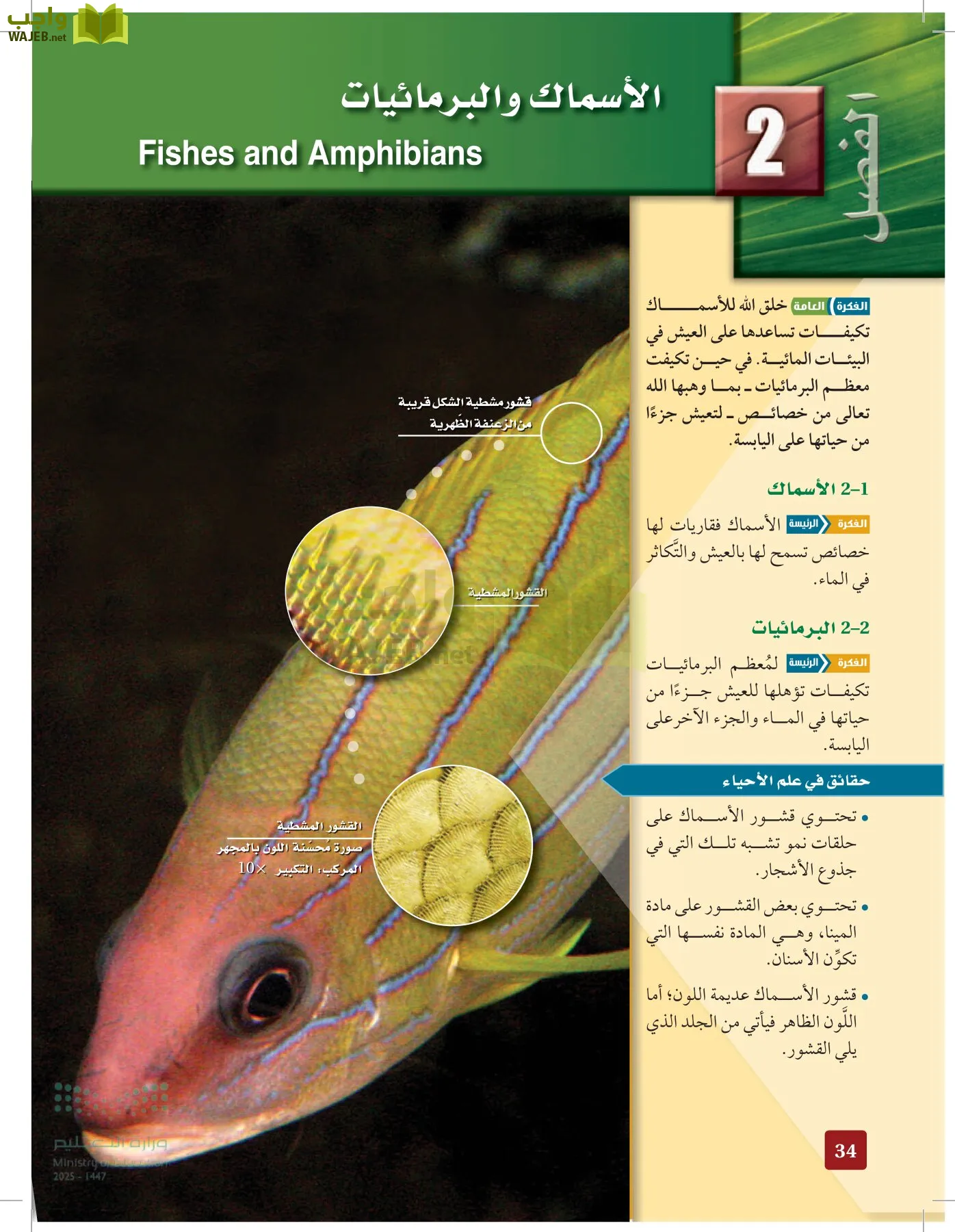 الأحياء 1-2 الفصل الأول page-33
