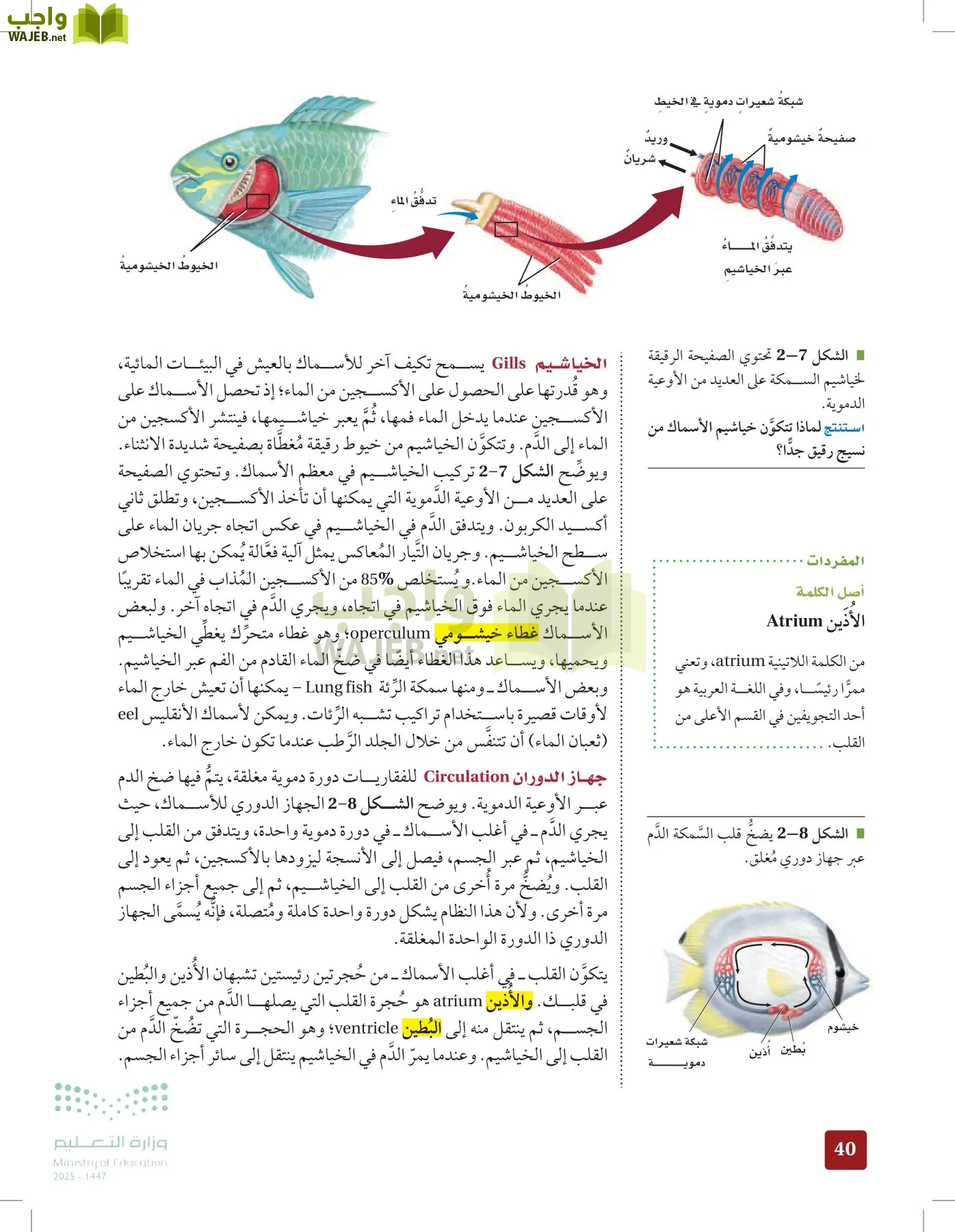 الأحياء 1-2 الفصل الأول page-39