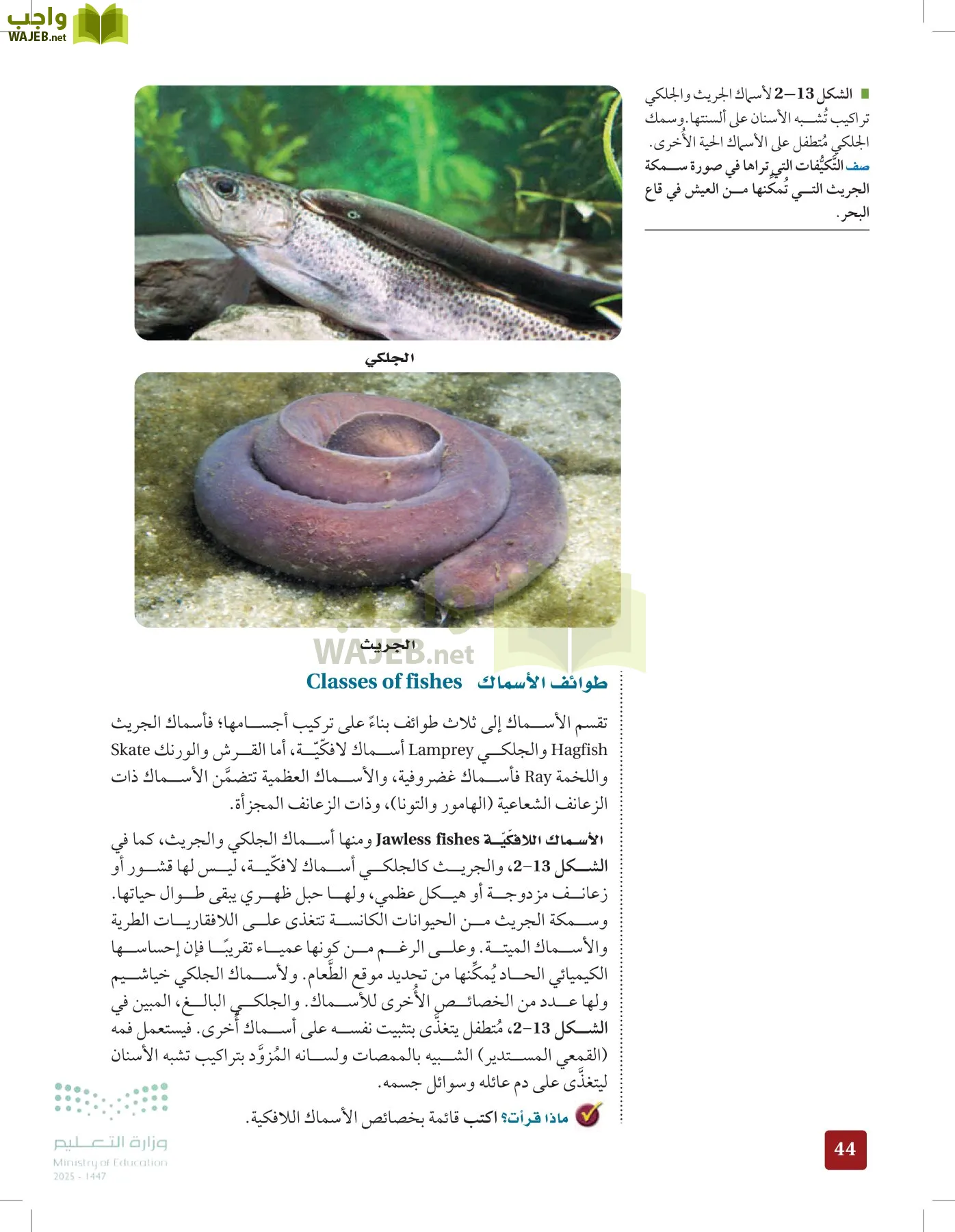 الأحياء 1-2 الفصل الأول page-43