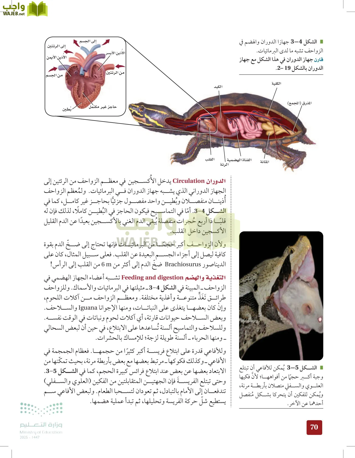 الأحياء 1-2 الفصل الأول page-69