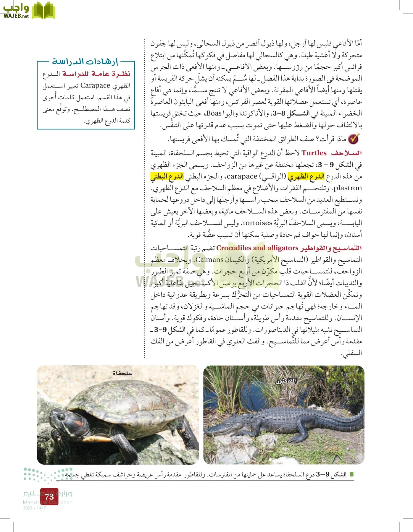 الأحياء 1-2 الفصل الأول page-72