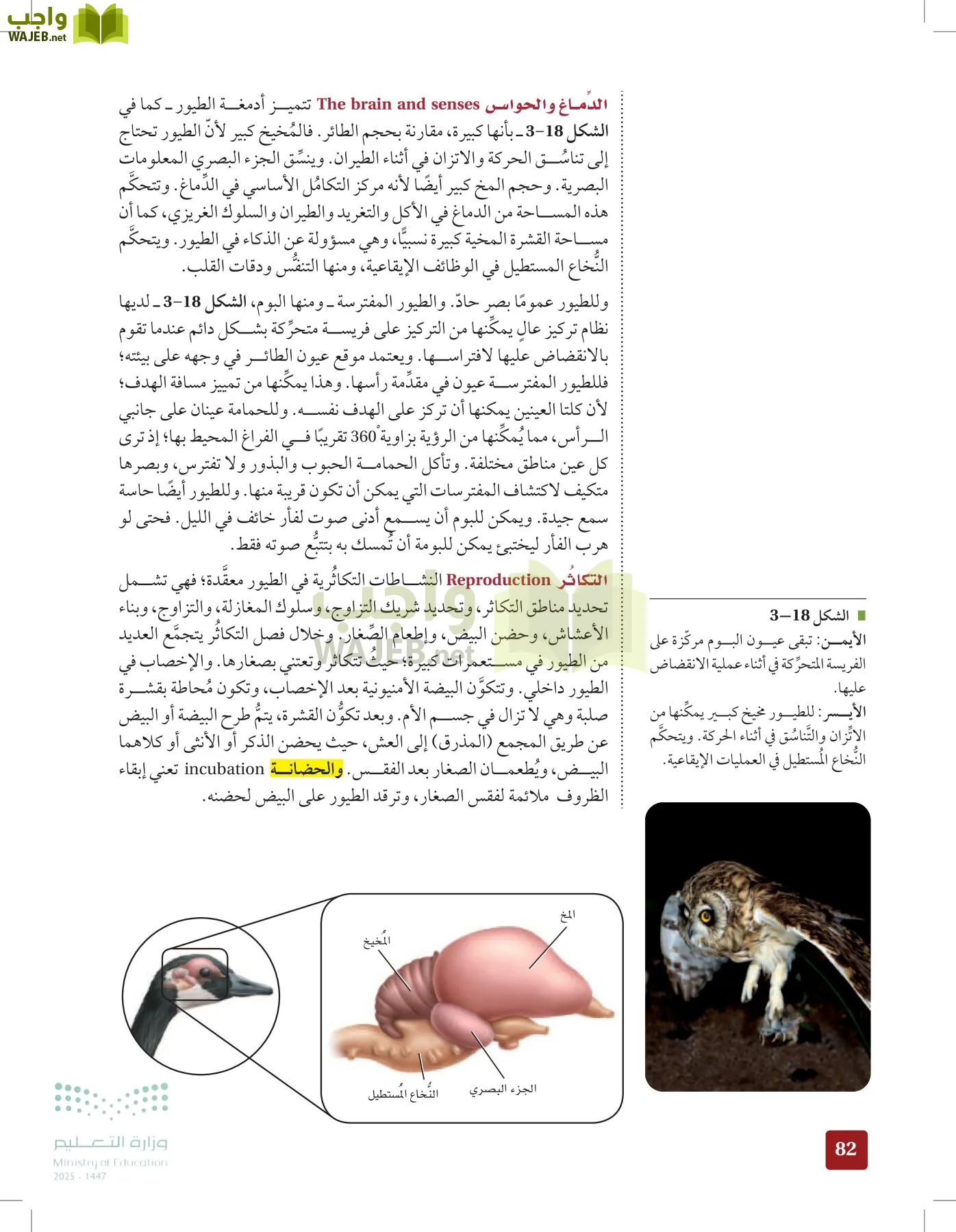 الأحياء 1-2 الفصل الأول page-81