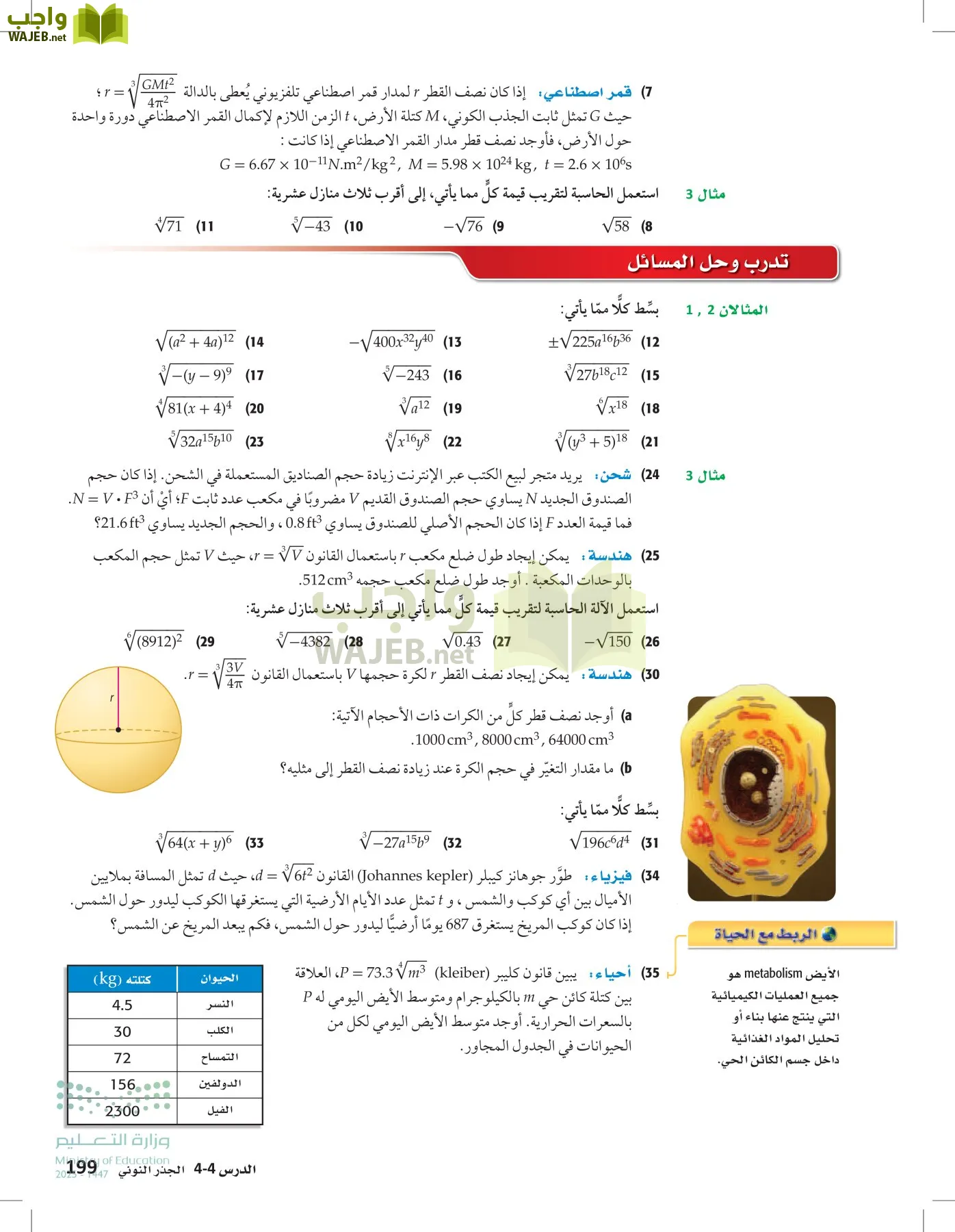 الرياضيات 1-2 الفصل الأول page-198
