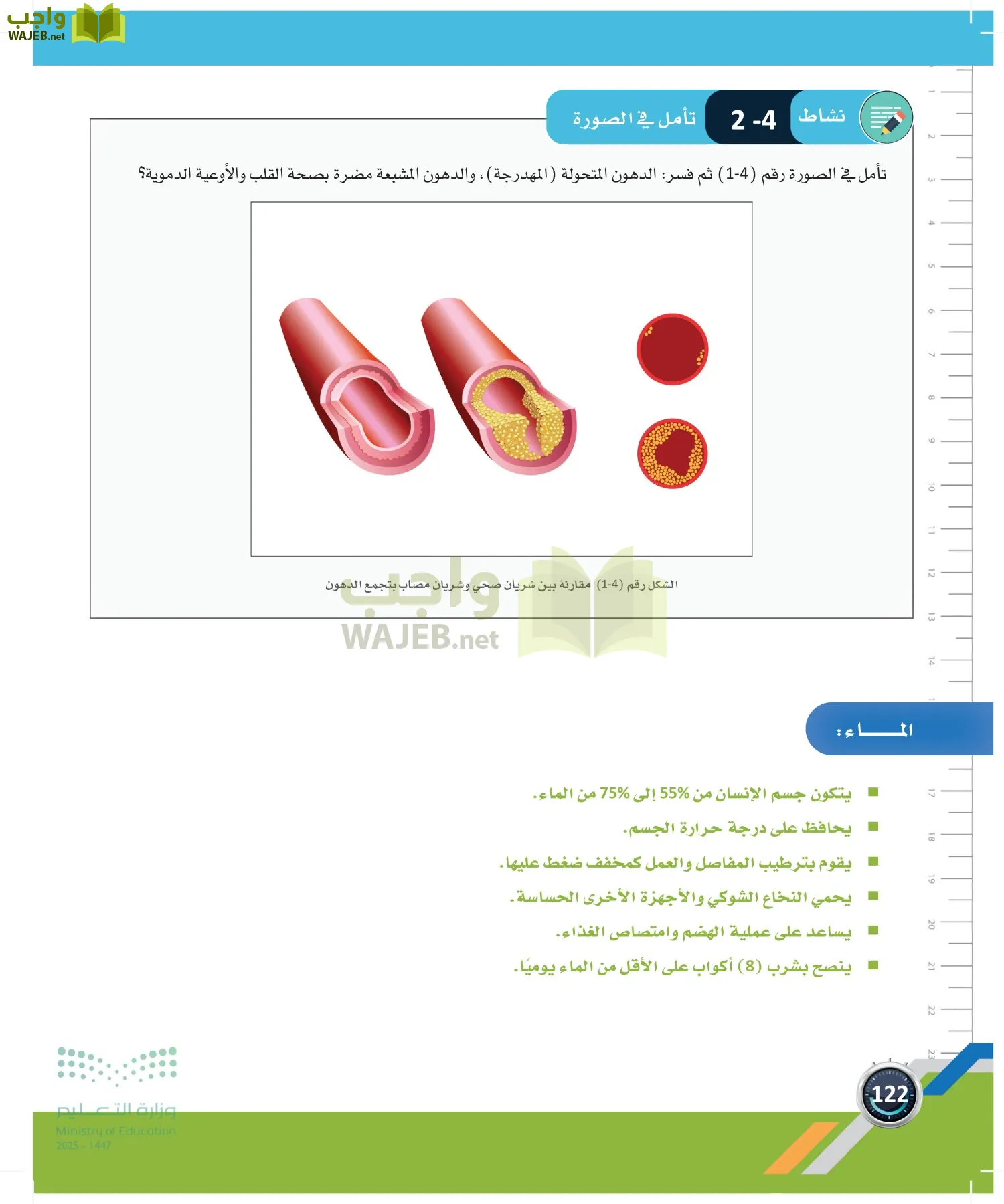 اللياقة والثقافة الصحية page-121