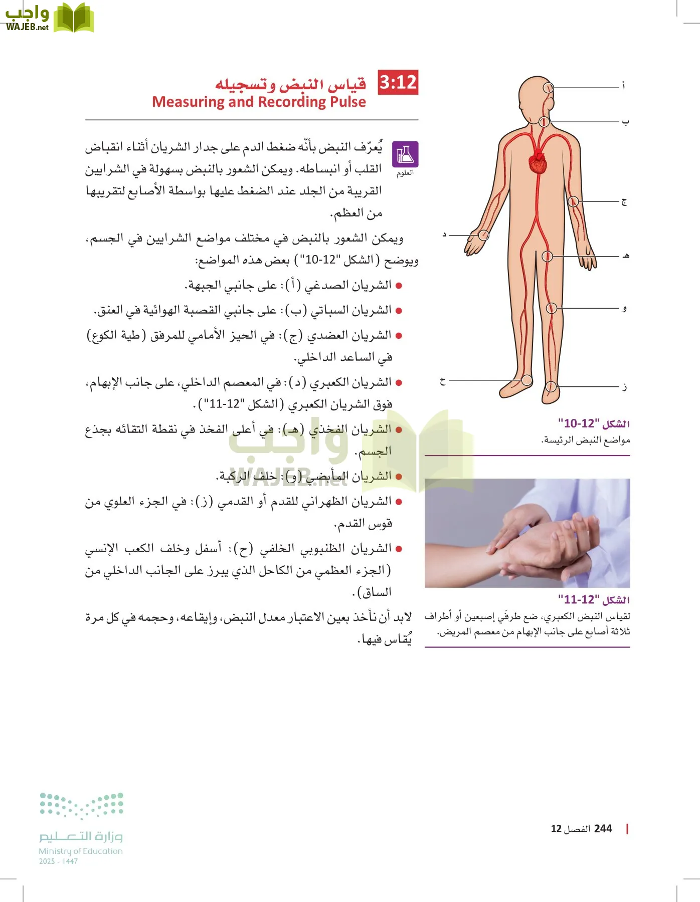 مبادئ العلوم الصحية page-243