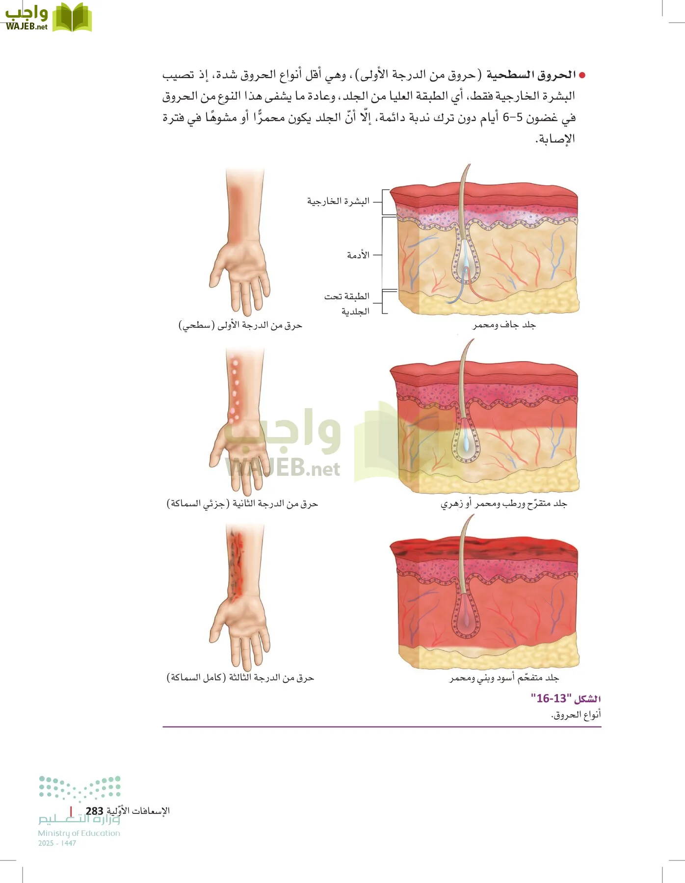 مبادئ العلوم الصحية page-282