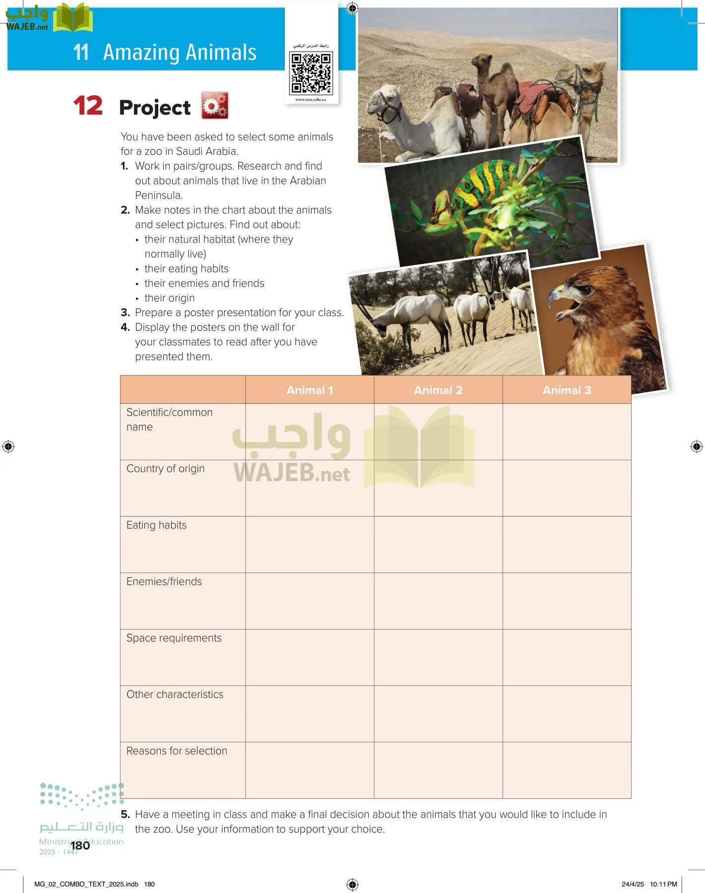 mega goal 2 page-185