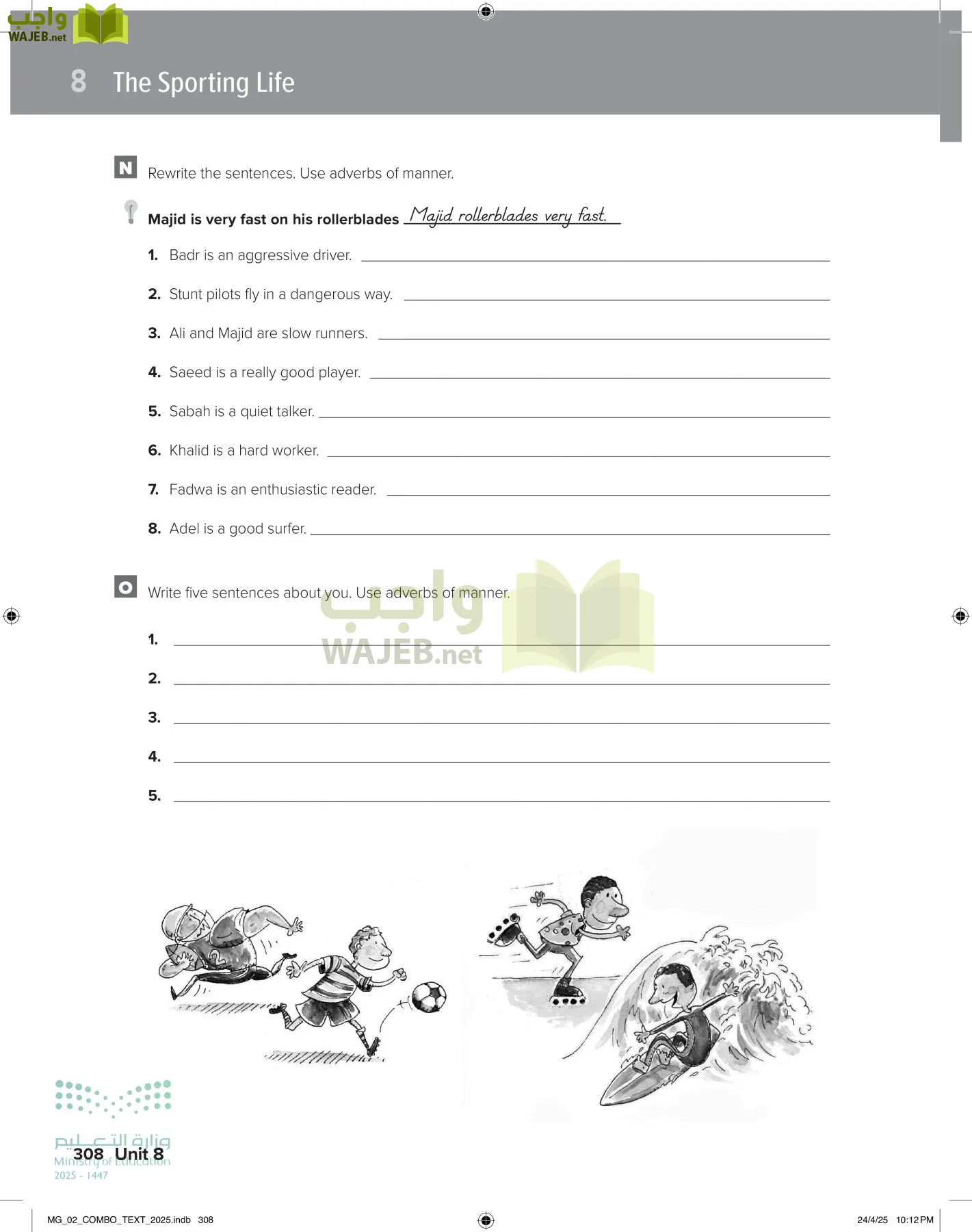 mega goal 2 page-313