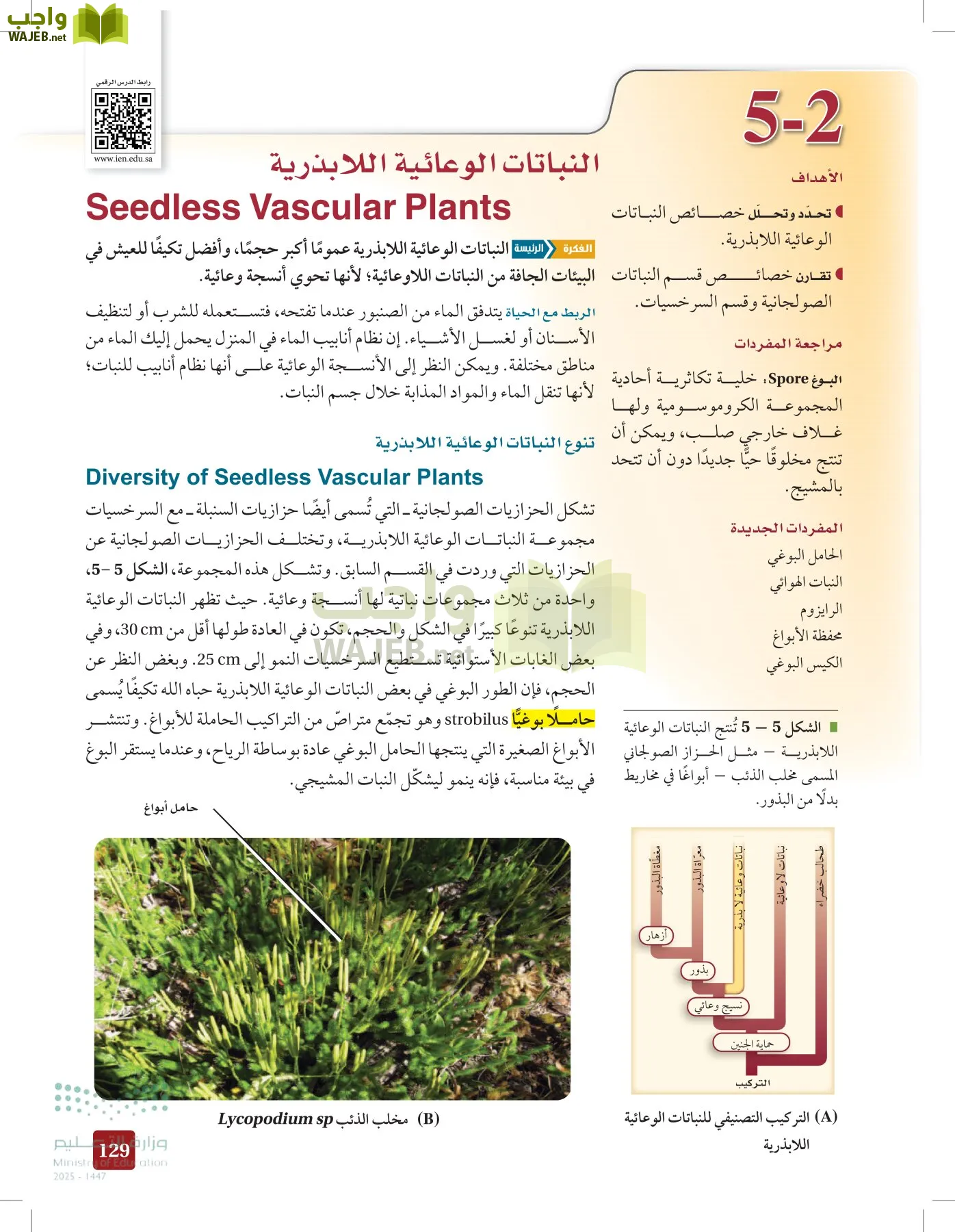 الأحياء 1-2 الفصل الأول page-128