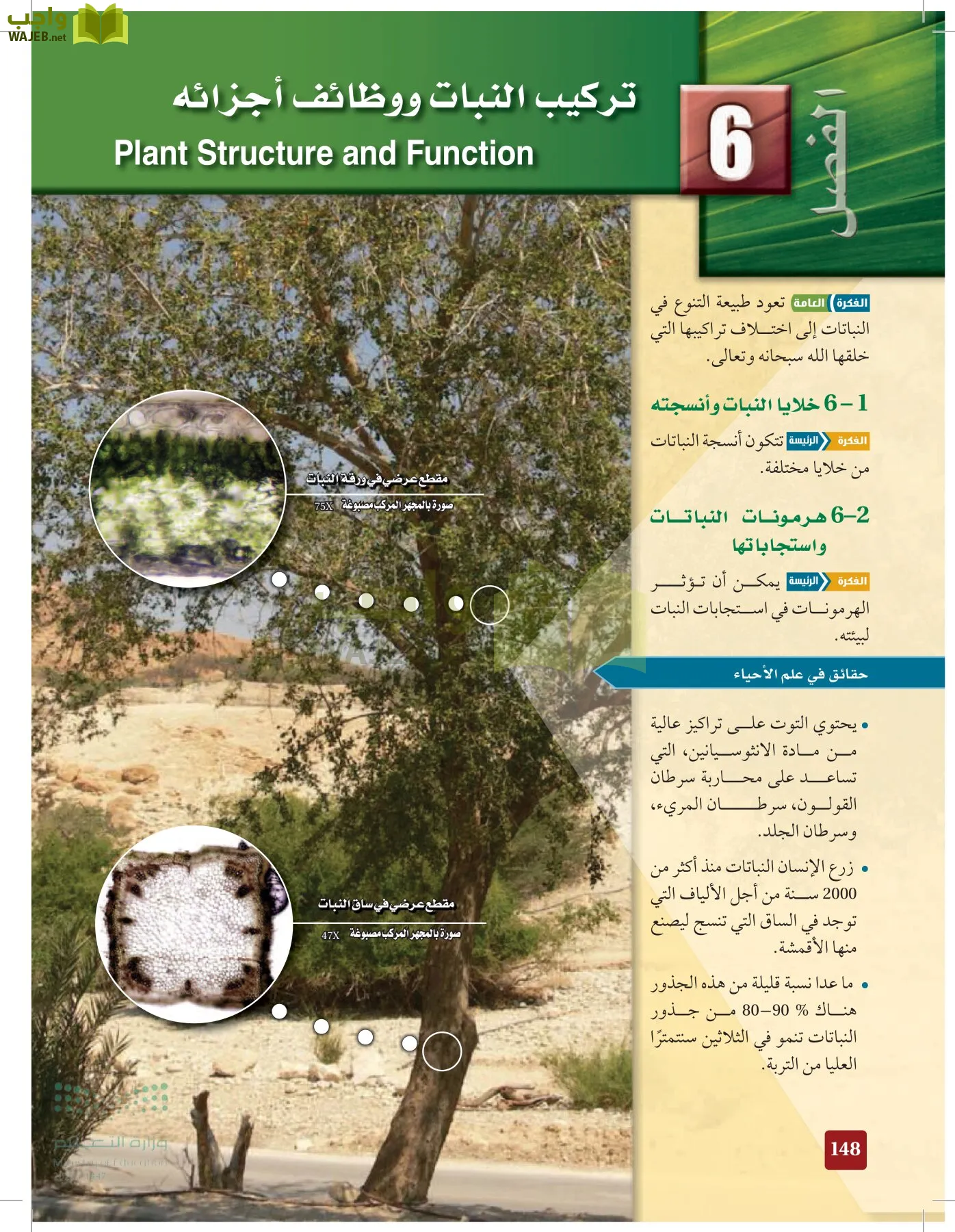 الأحياء 1-2 الفصل الأول page-147