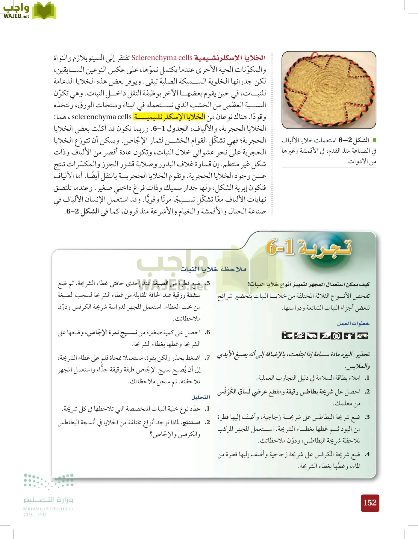 الأحياء 1-2 الفصل الأول page-151
