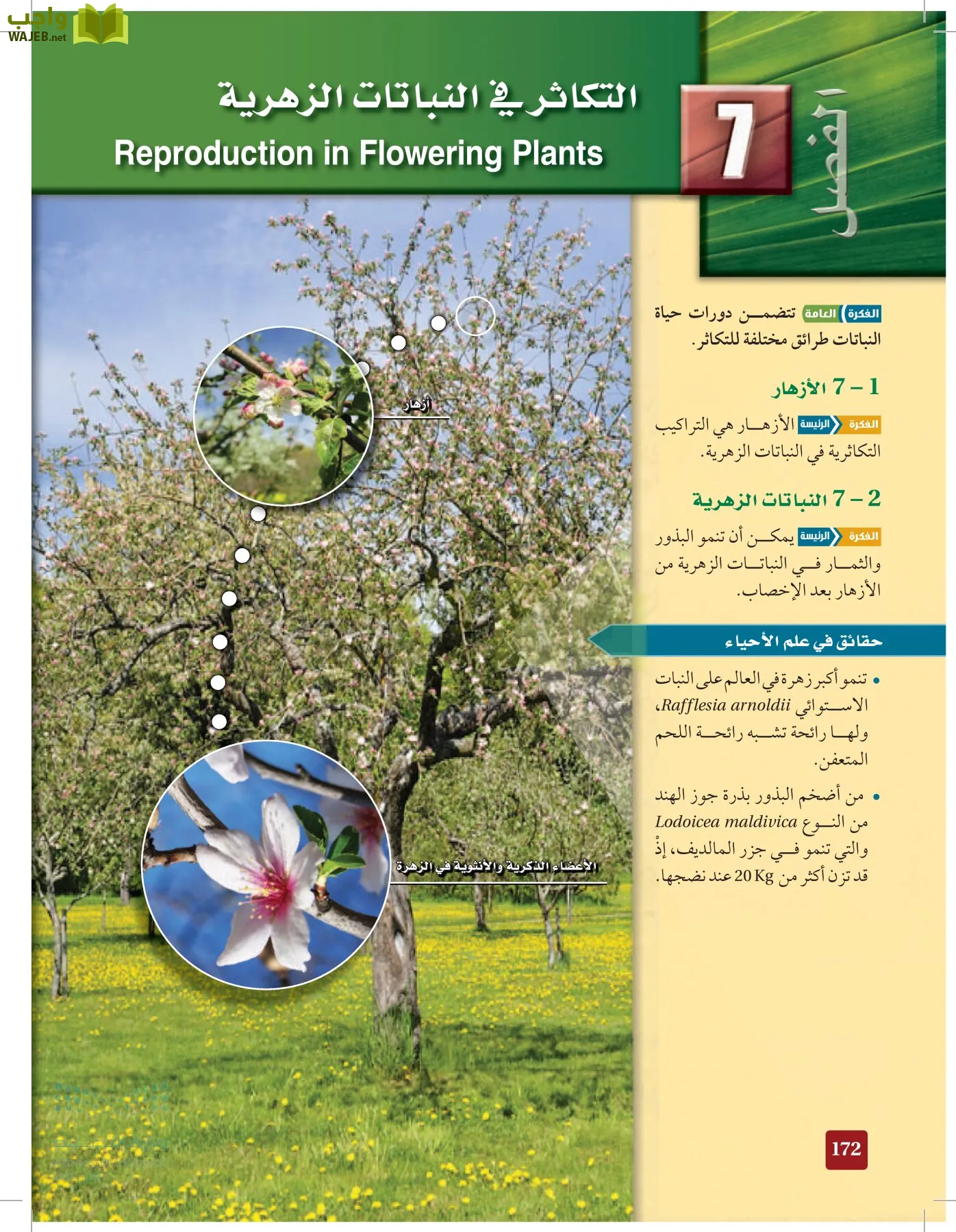 الأحياء 1-2 الفصل الأول page-171