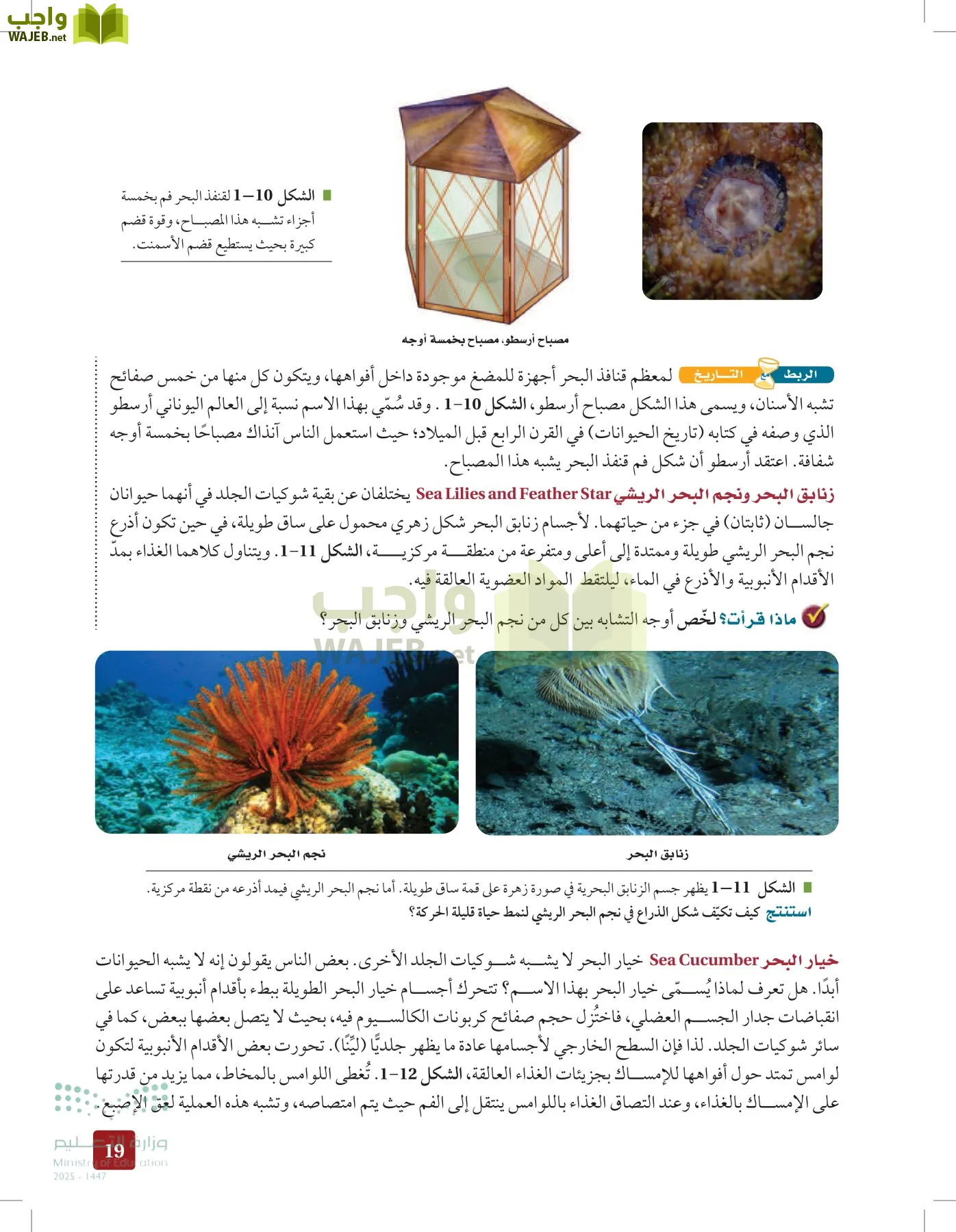الأحياء 1-2 الفصل الأول page-18