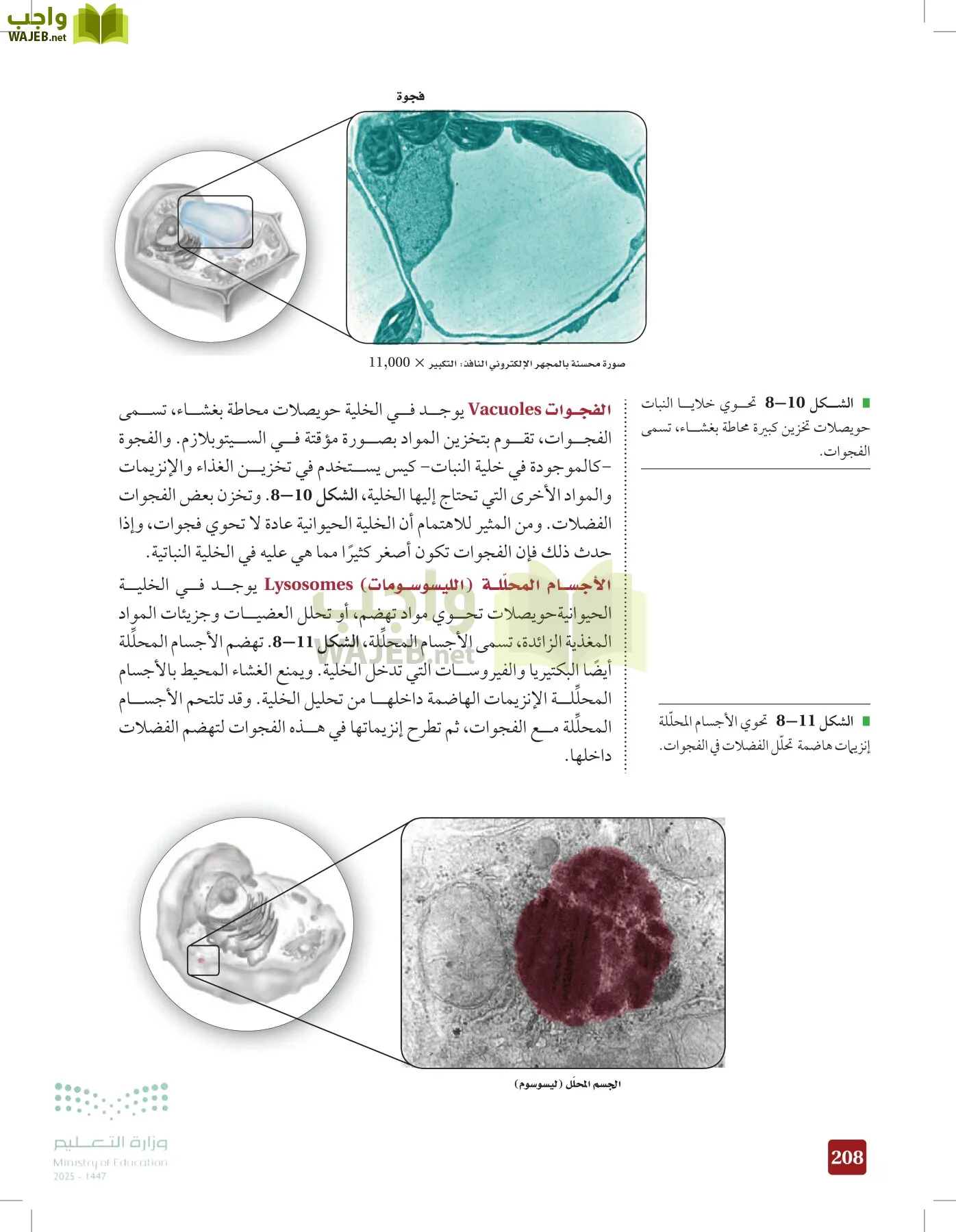 الأحياء 1-2 الفصل الأول page-207
