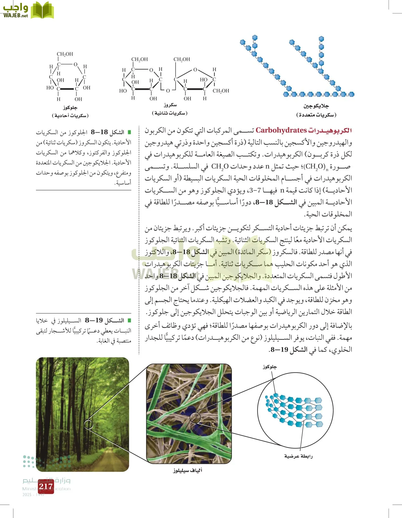 الأحياء 1-2 الفصل الأول page-216