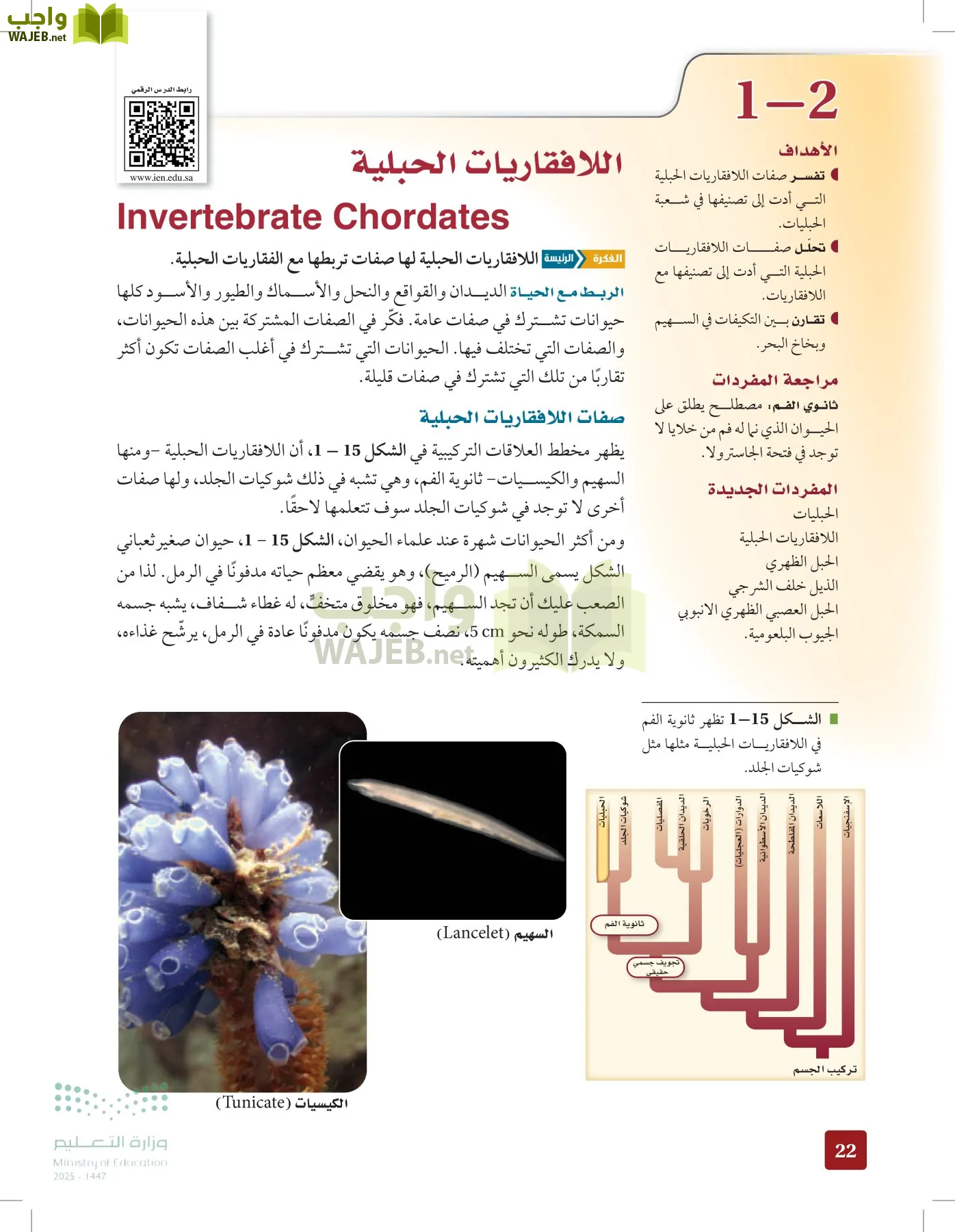 الأحياء 1-2 الفصل الأول page-21