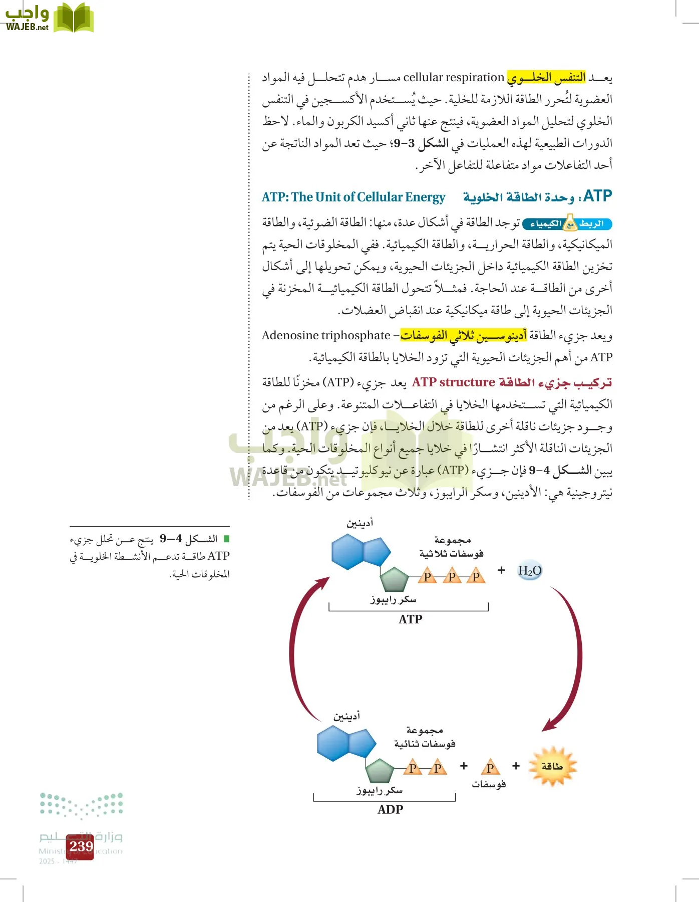 الأحياء 1-2 الفصل الأول page-238
