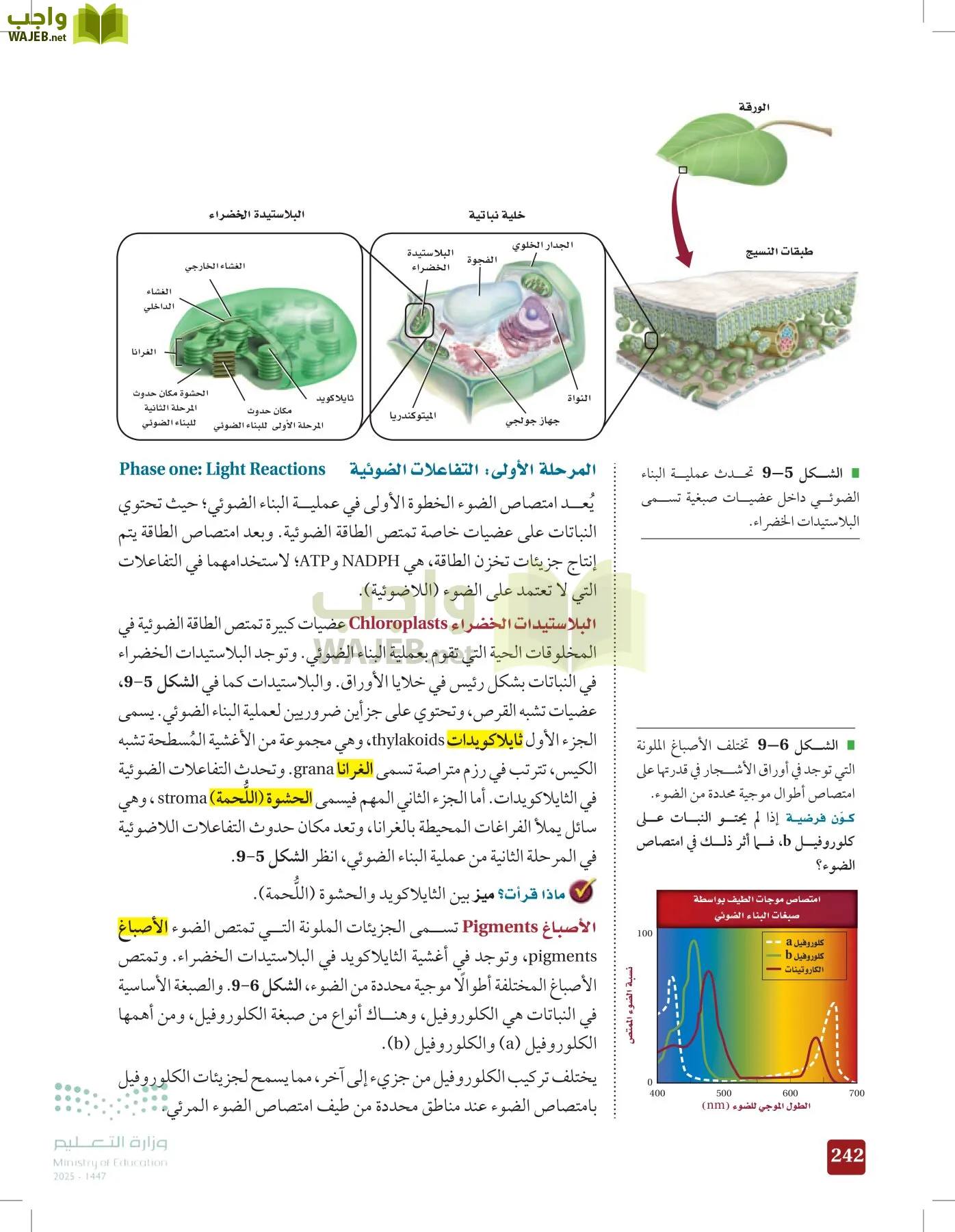الأحياء 1-2 الفصل الأول page-241
