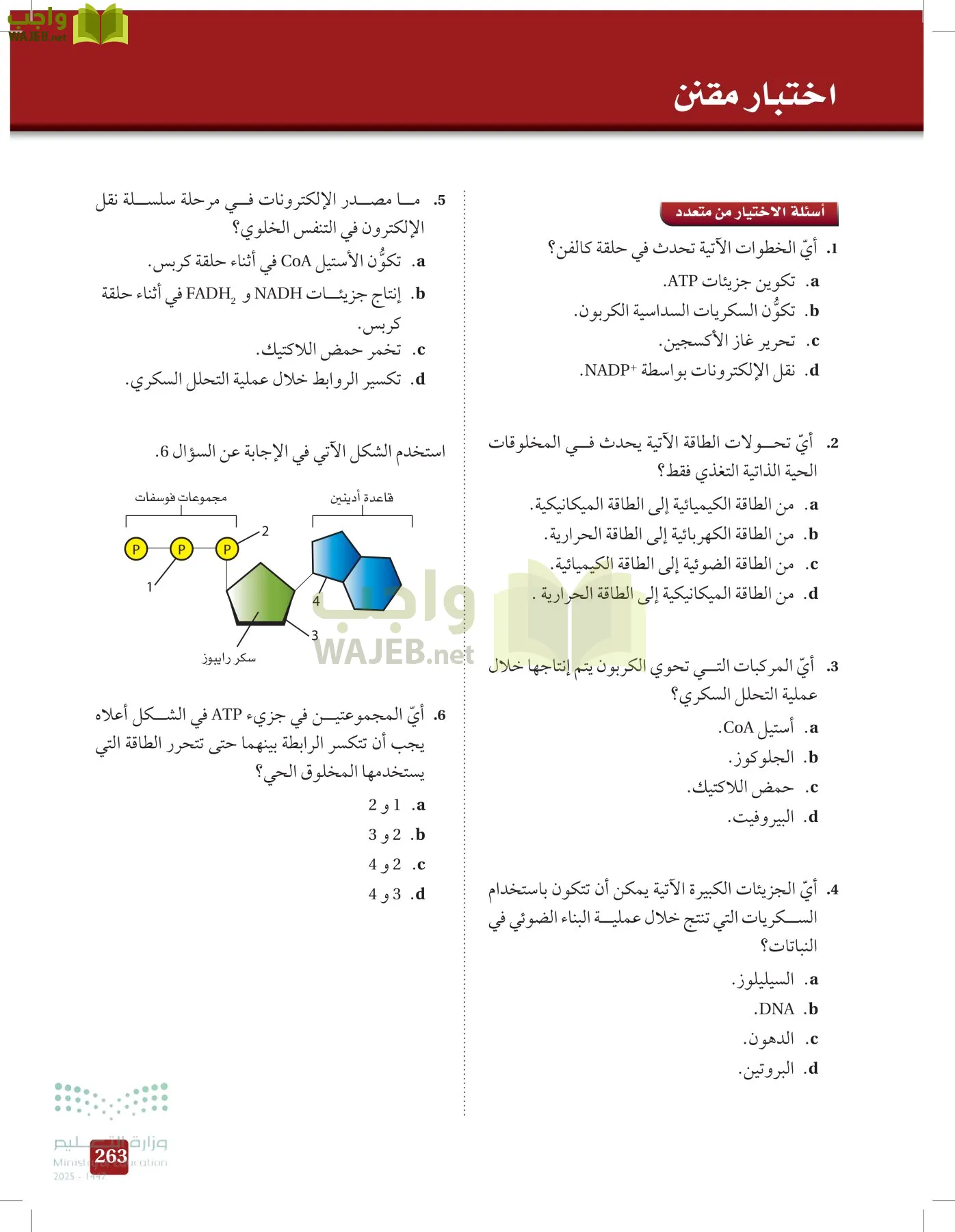 الأحياء 1-2 الفصل الأول page-262