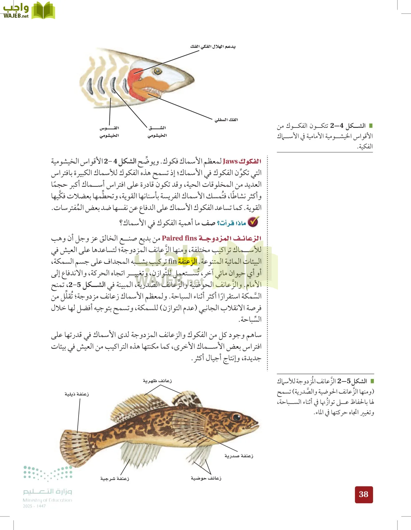 الأحياء 1-2 الفصل الأول page-37