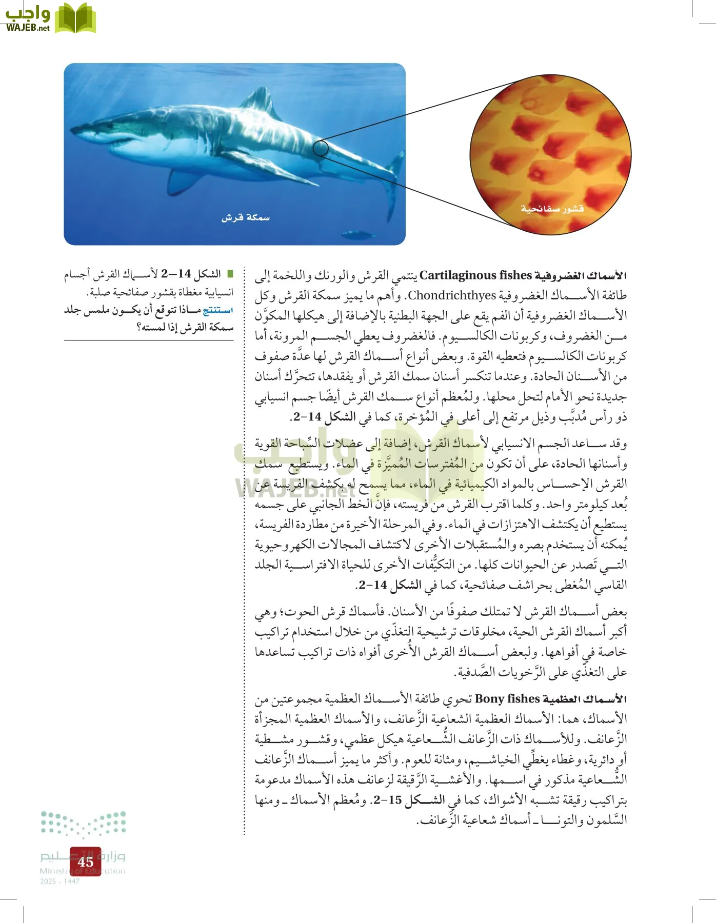 الأحياء 1-2 الفصل الأول page-44